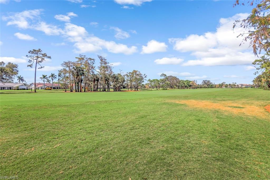2016 Duke Drive Naples, FL 34110 - Photo 22 of 23 a view of a big yard with plants and large trees