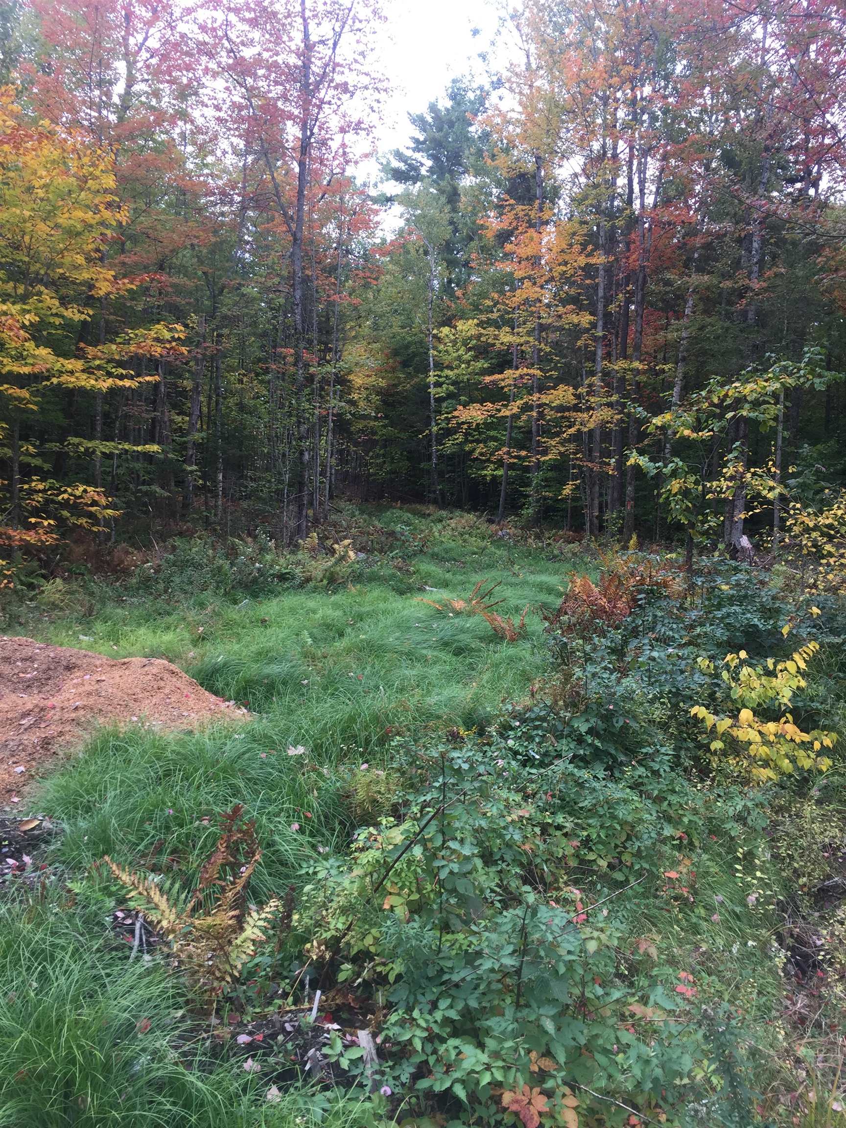 -ff Leland Farm Road, Unit B Middlesex, VT 05602 - Photo 1 of 4