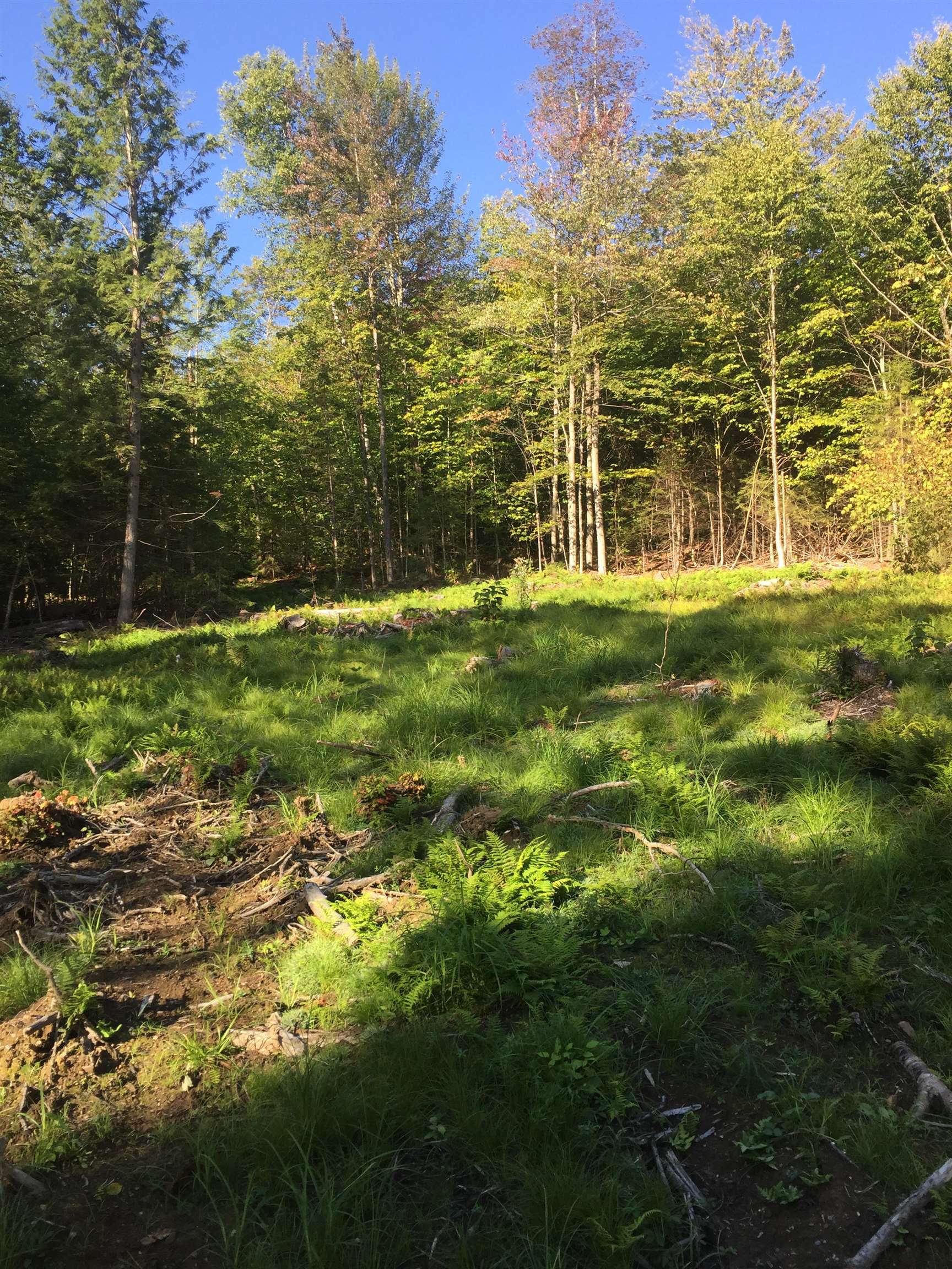 -ff Leland Farm Road, Unit B Middlesex, VT 05602 - Photo 3 of 4