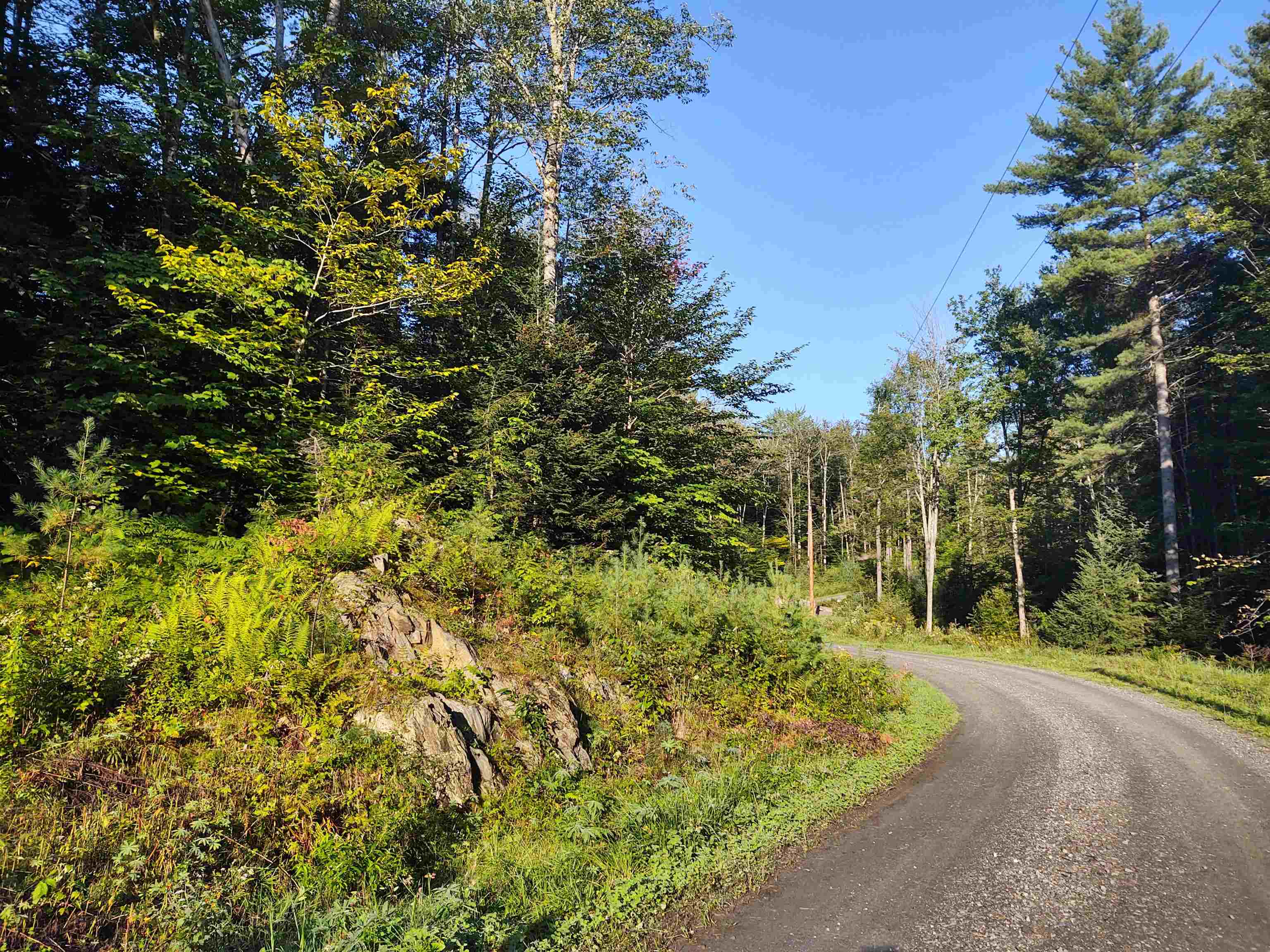 -ff Leland Farm Road, Unit B Middlesex, VT 05602 - Photo 4 of 4