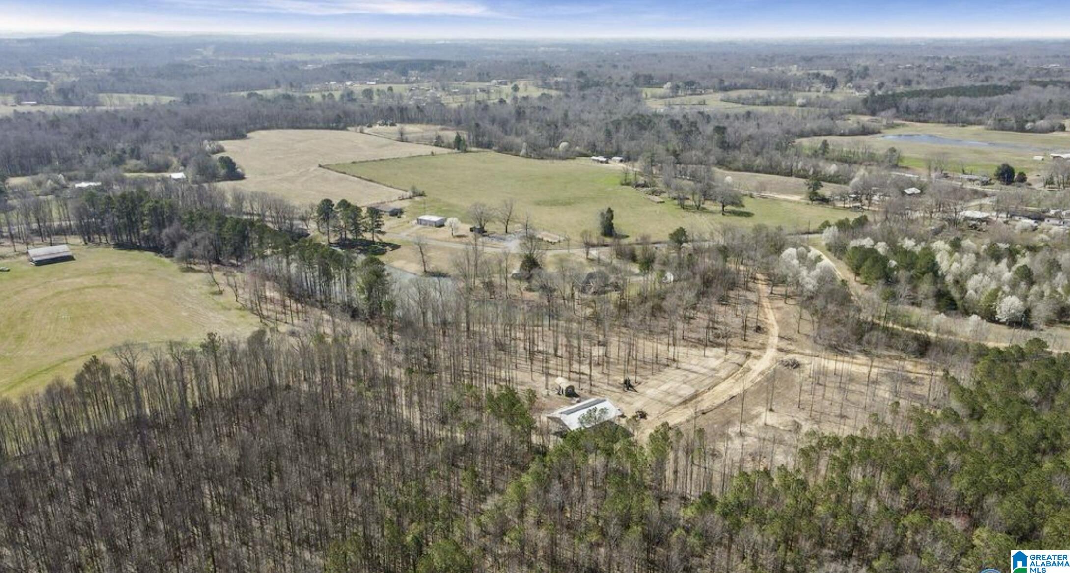 657 Maze Road Arab, AL 35016 - Photo 9 of 18