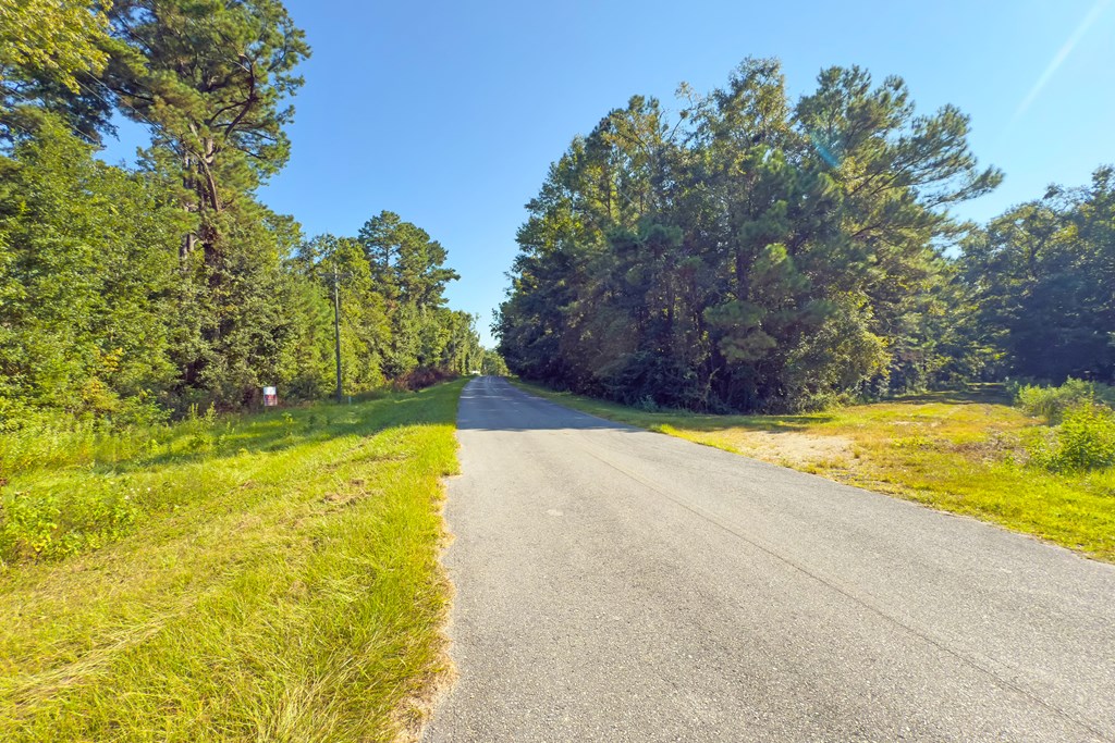 325 Riverside Circle Wewahitchka, FL 32465 - Photo 11 of 14