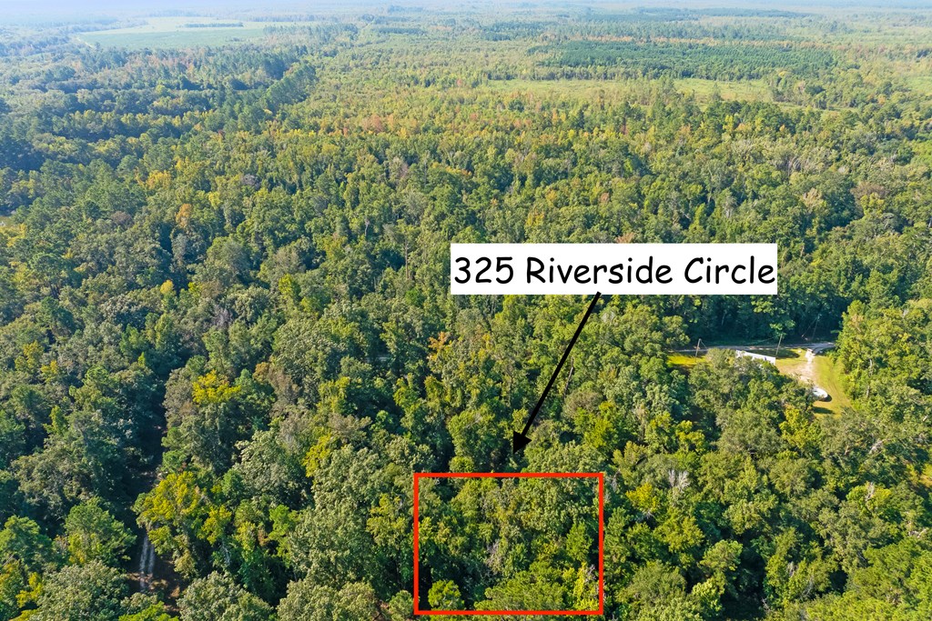 325 Riverside Circle Wewahitchka, FL 32465 - Photo 2 of 14