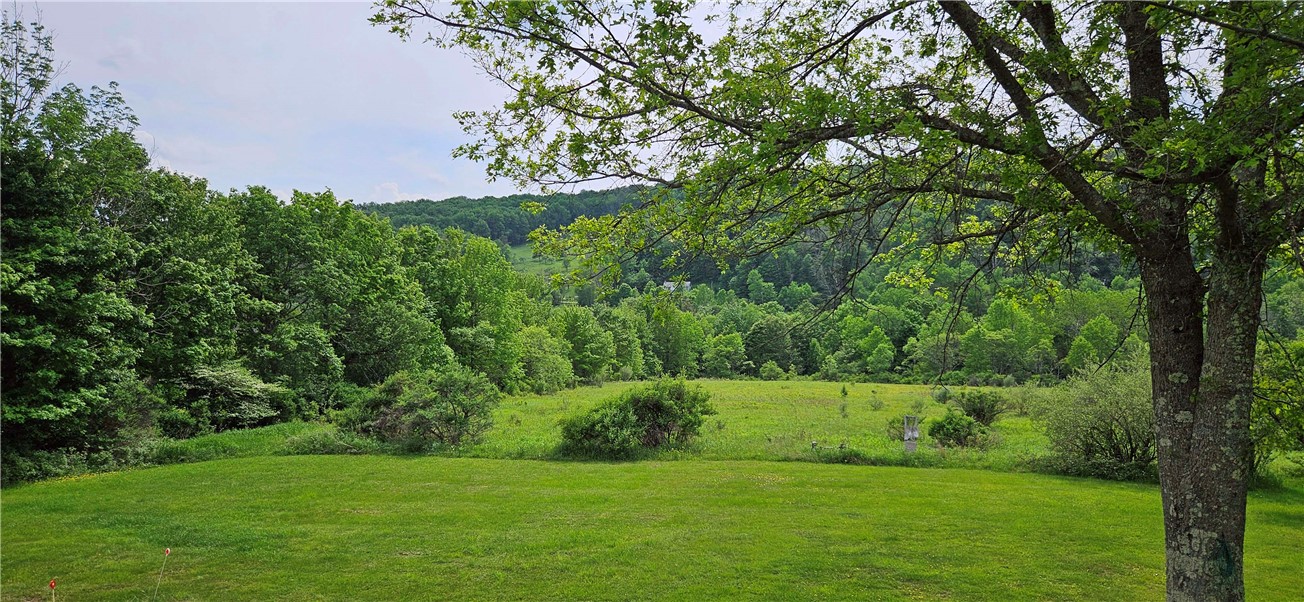435 Squire Hill Road Roxbury, NY 12474 - Photo 6 of 29