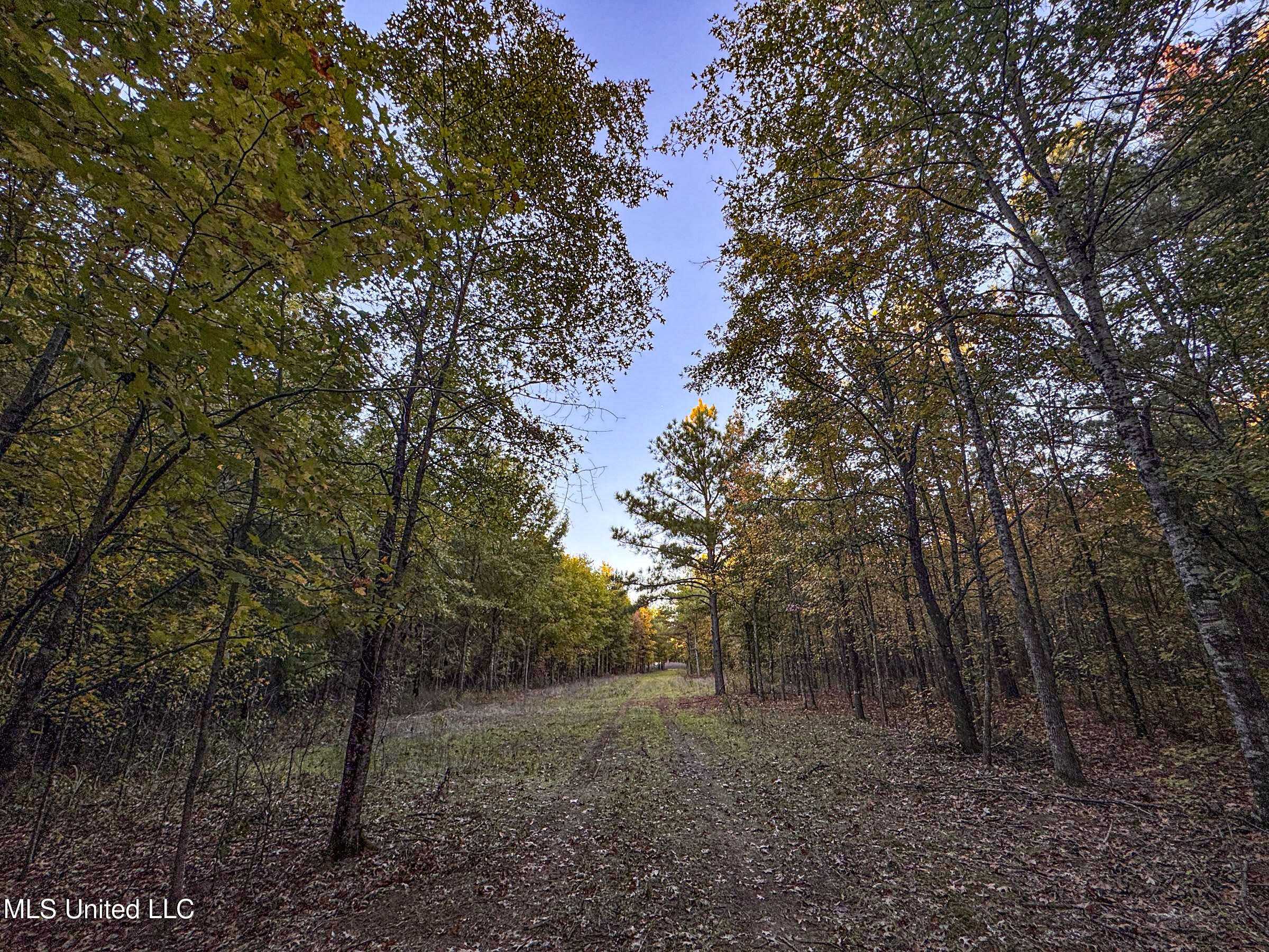Howard Street Marks, MS 38646 - Photo 69 of 71 3cpqcfty62