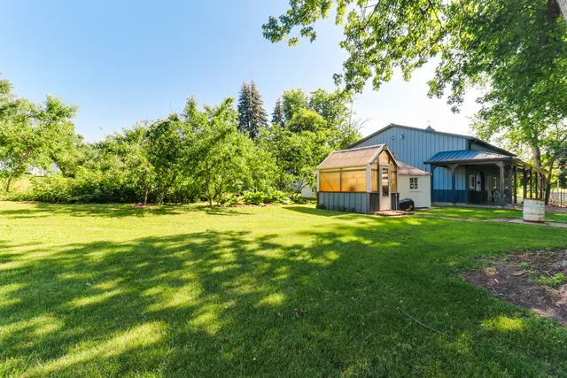 a close up of a flower in a garden