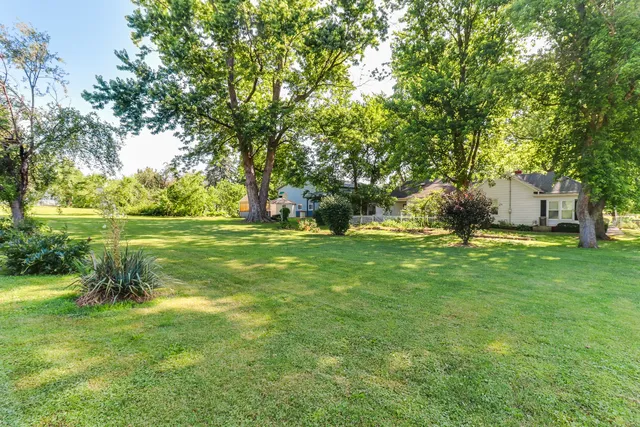 a close up of a flower in a garden