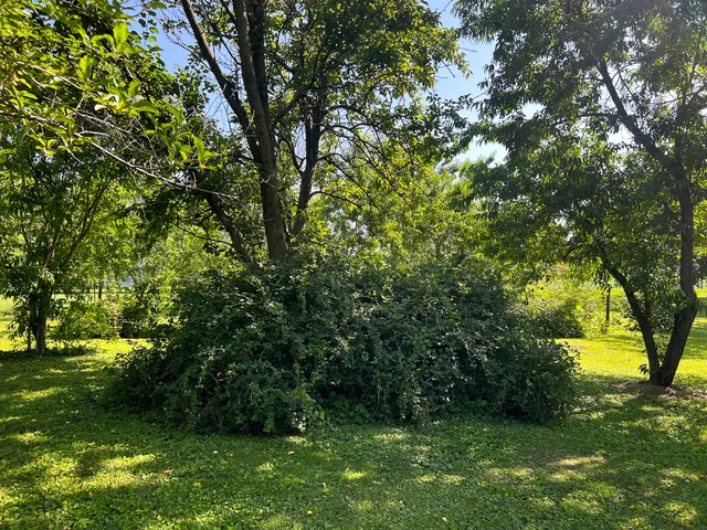 a room with pool table gym equipment and windows