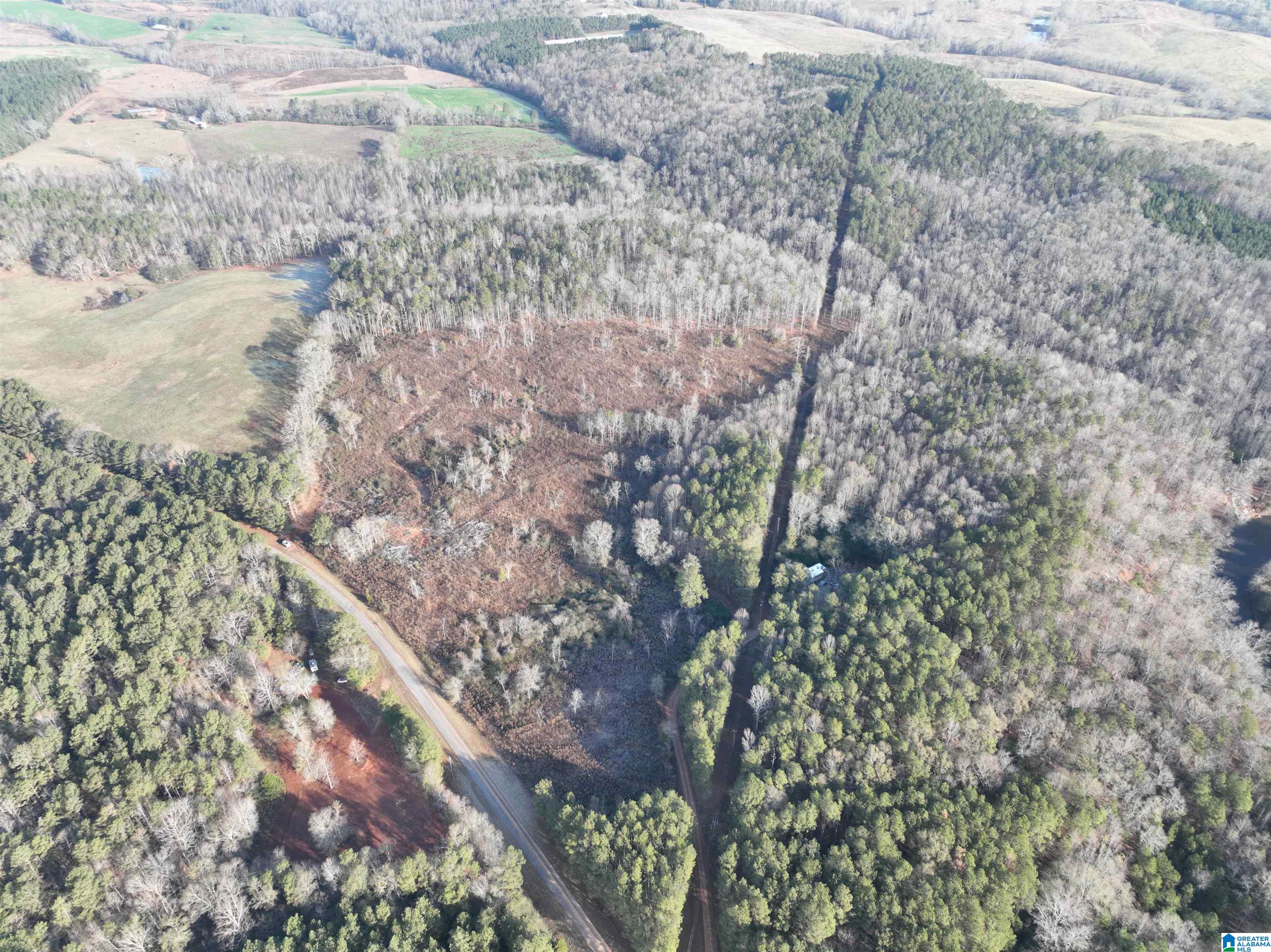 532 County Road Woodland, AL 36280 - Photo 4 of 12