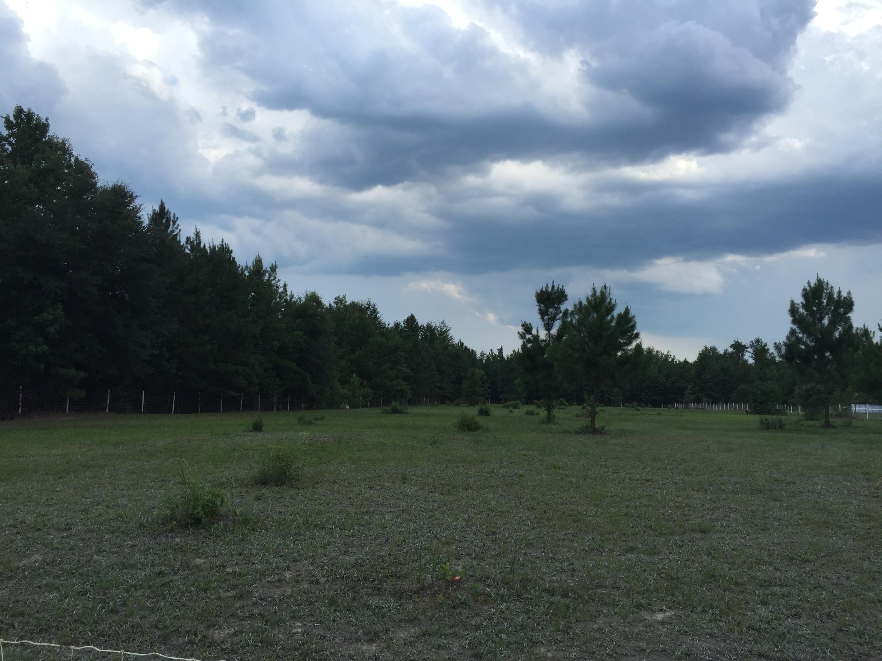 538 Harmony Hall Road Round O, SC 29474 - Photo 2 of 8 20150723_204146196_iOS