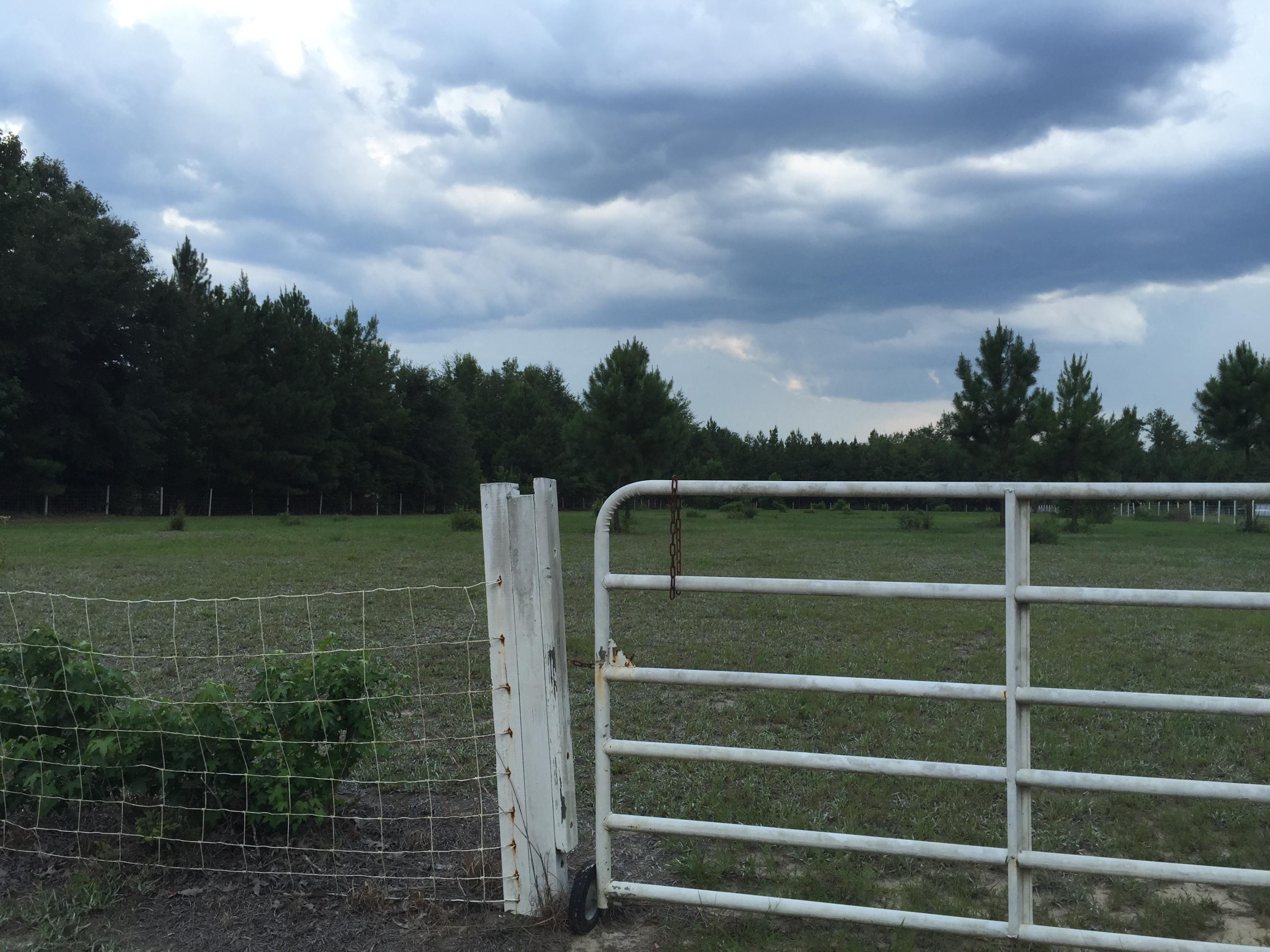 538 Harmony Hall Road Round O, SC 29474 - Photo 3 of 8 20150723_204216740_iOS