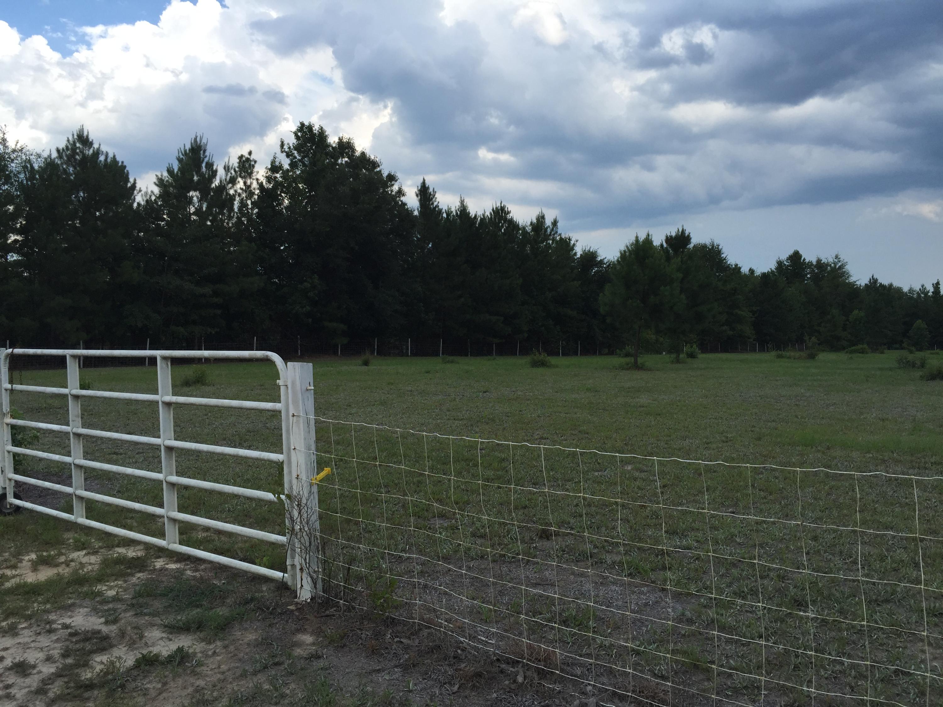 538 Harmony Hall Road Round O, SC 29474 - Photo 4 of 8 20150723_204228498_iOS