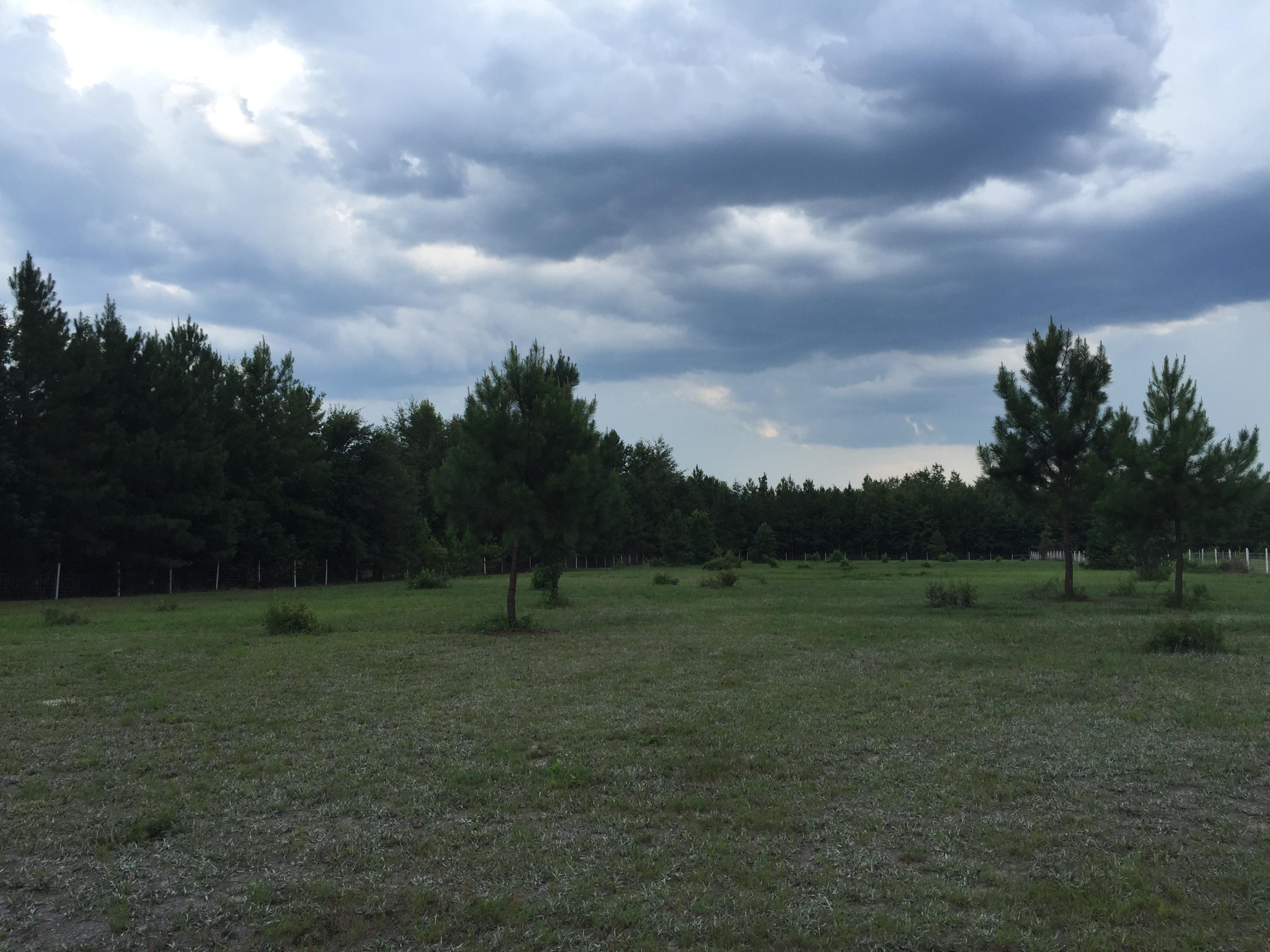 538 Harmony Hall Road Round O, SC 29474 - Photo 5 of 8 20150723_204254005_iOS