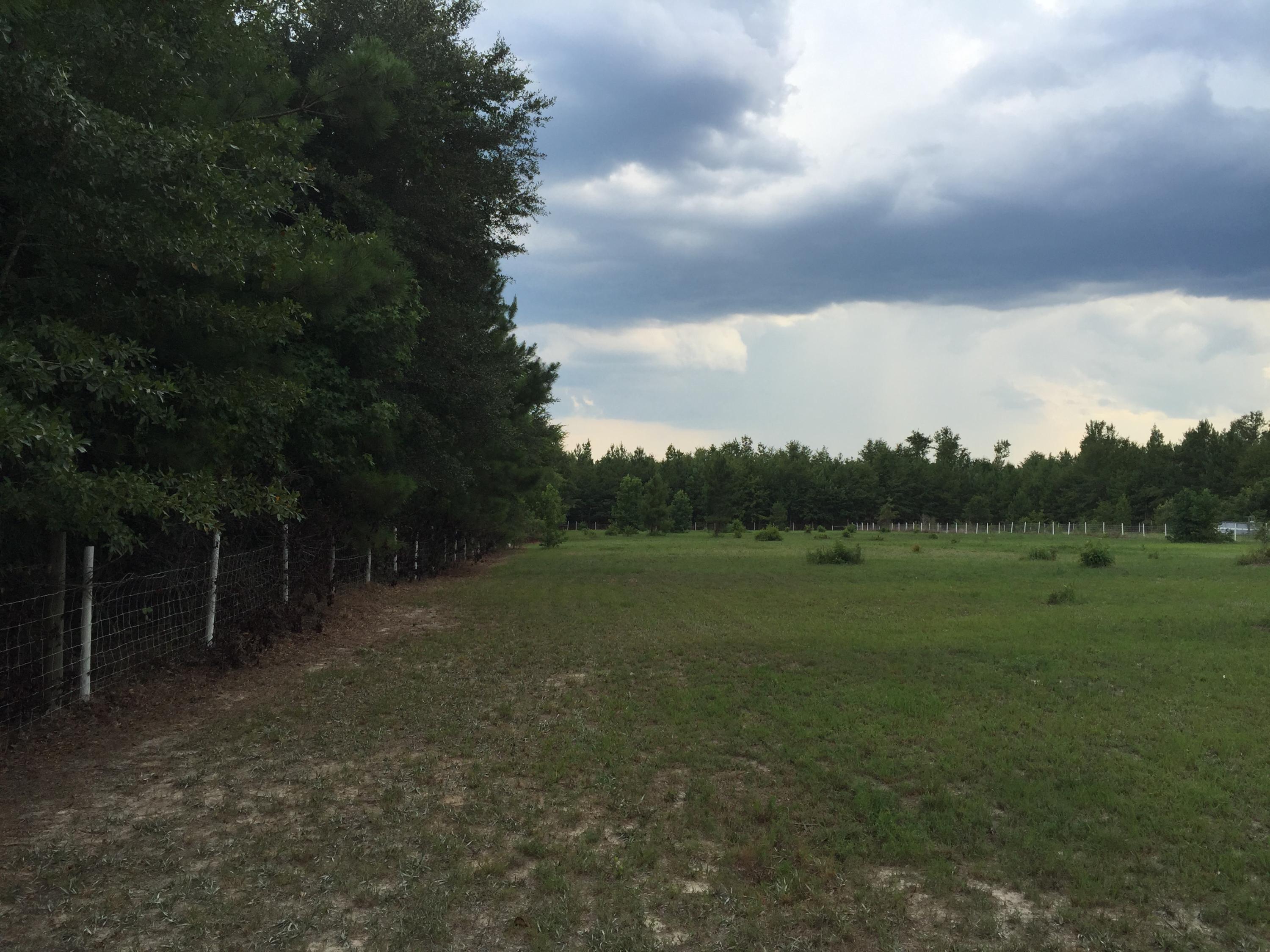 538 Harmony Hall Road Round O, SC 29474 - Photo 6 of 8 20150723_204319343_iOS