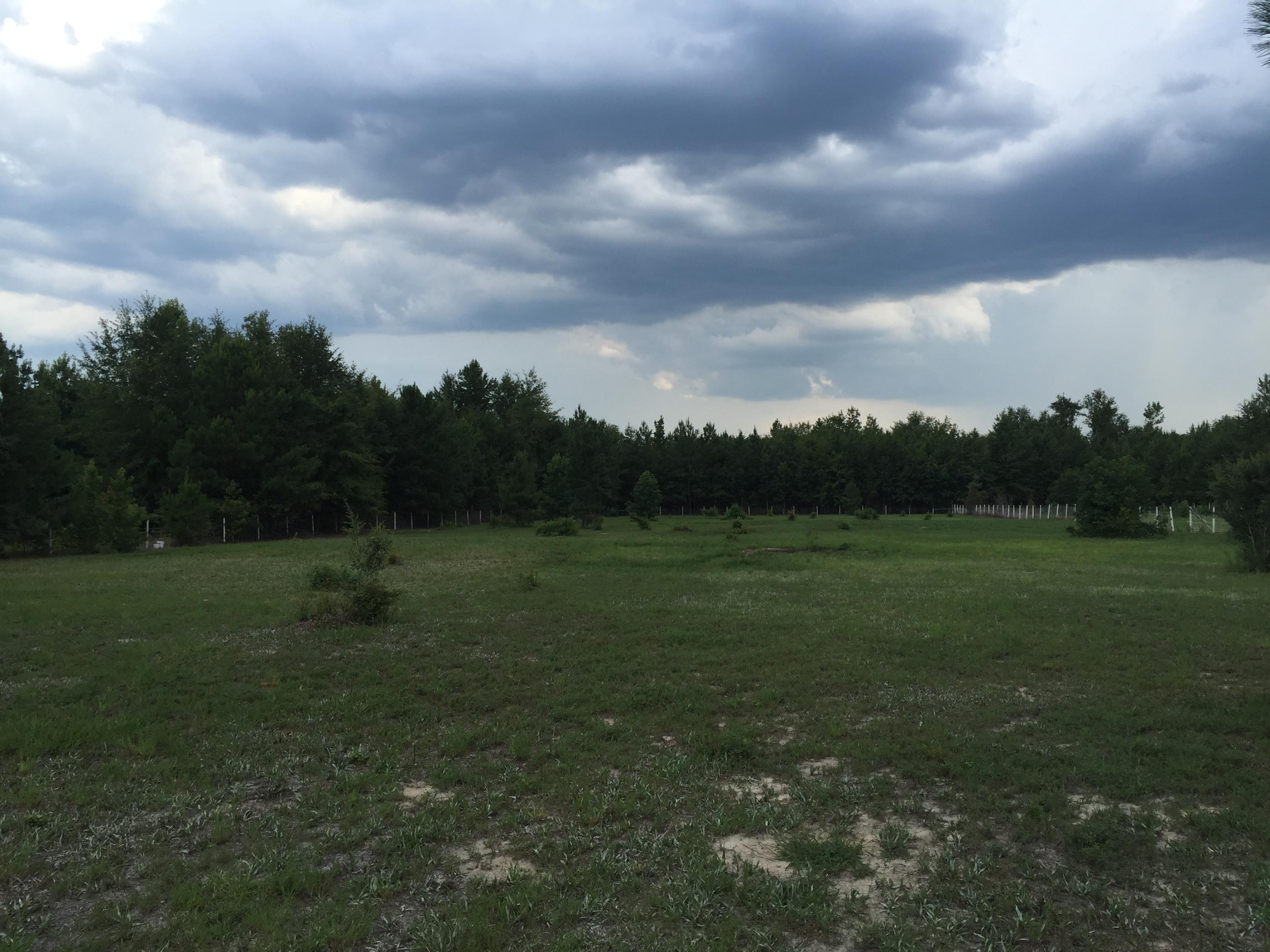 538 Harmony Hall Road Round O, SC 29474 - Photo 7 of 8 20150723_204348761_iOS