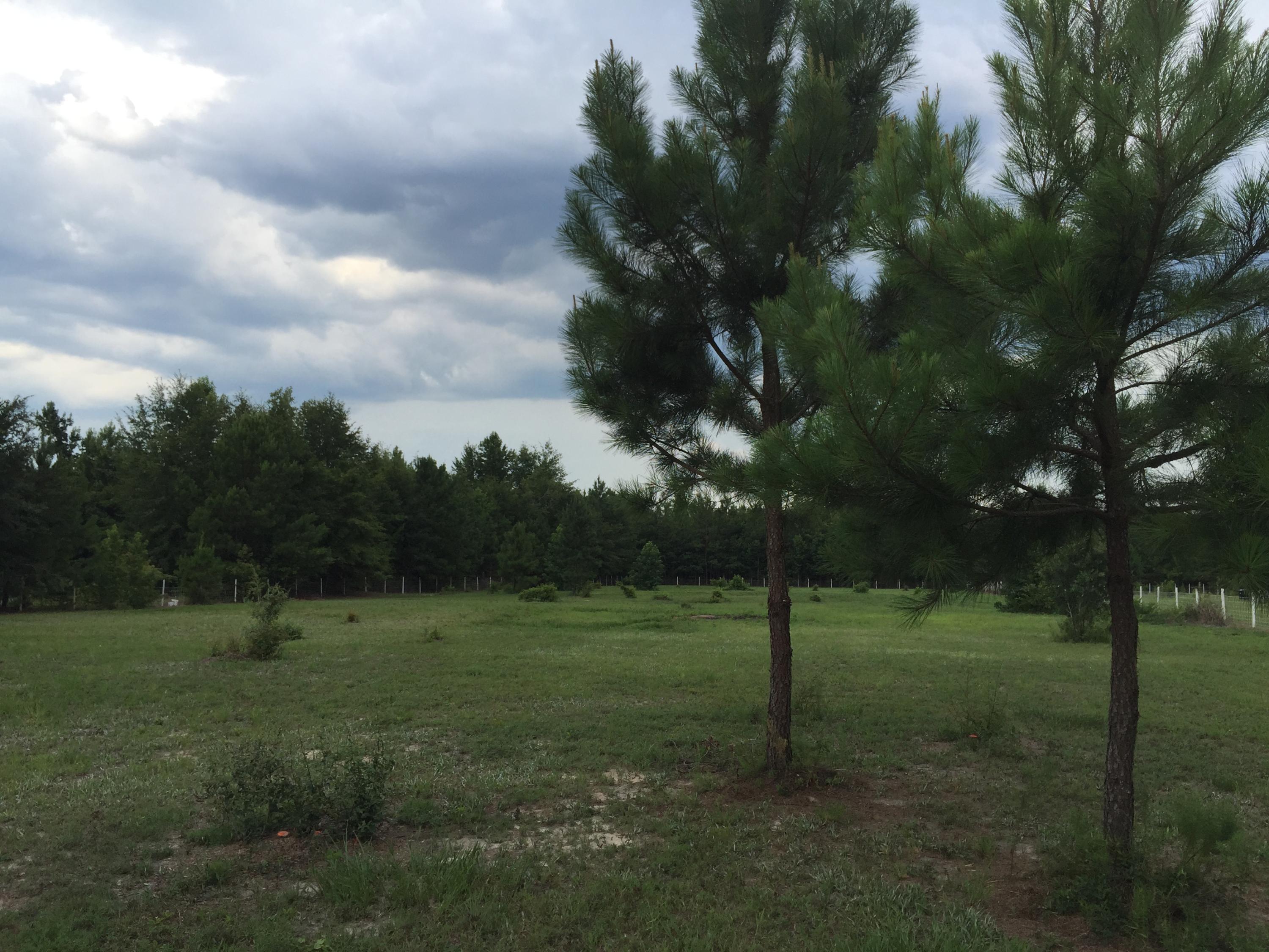 538 Harmony Hall Road Round O, SC 29474 - Photo 8 of 8 20150723_204359574_iOS