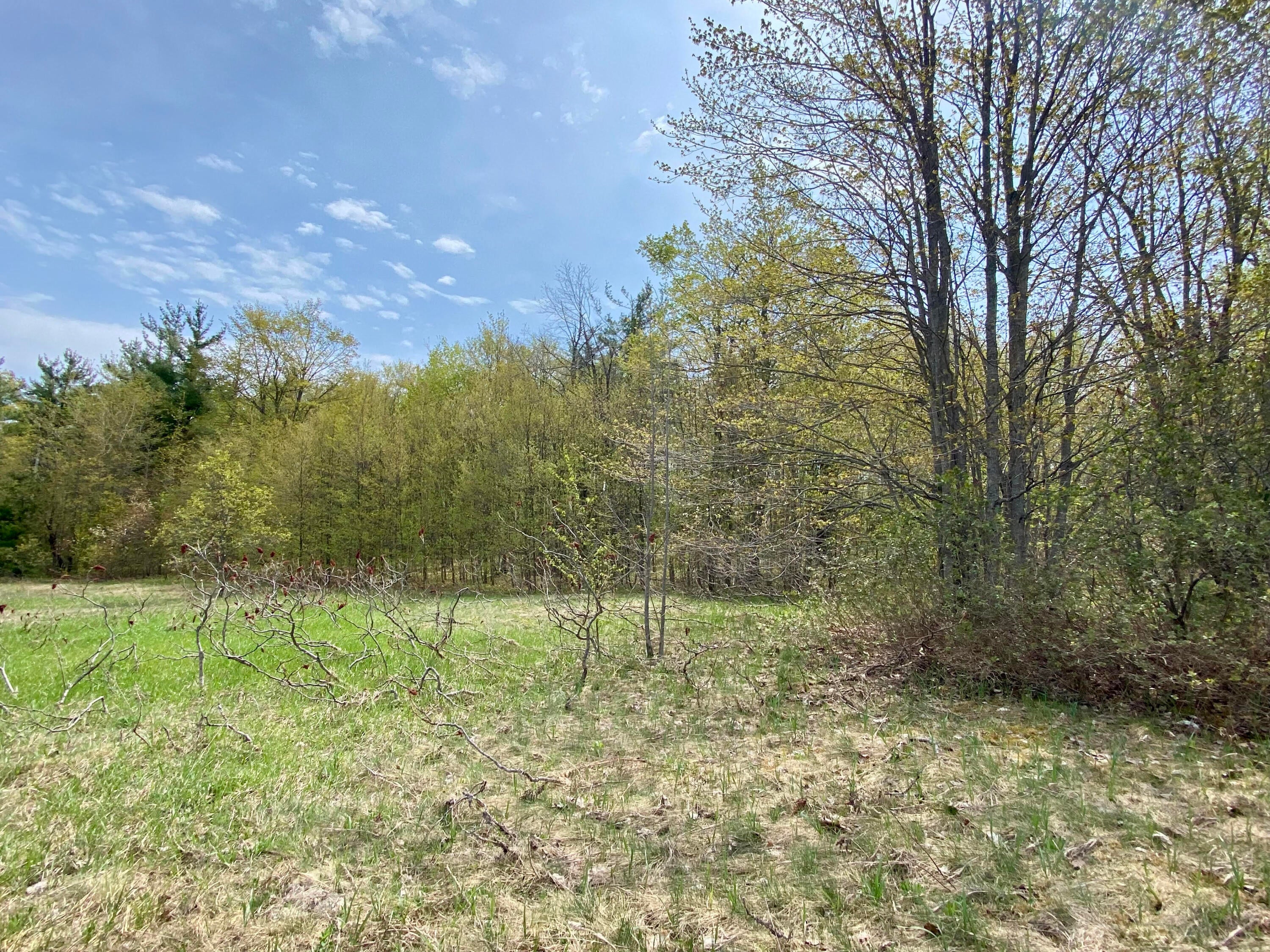 9.49-ac Hayes Tower Road Gaylord, MI 49735 - Photo 7 of 16 3