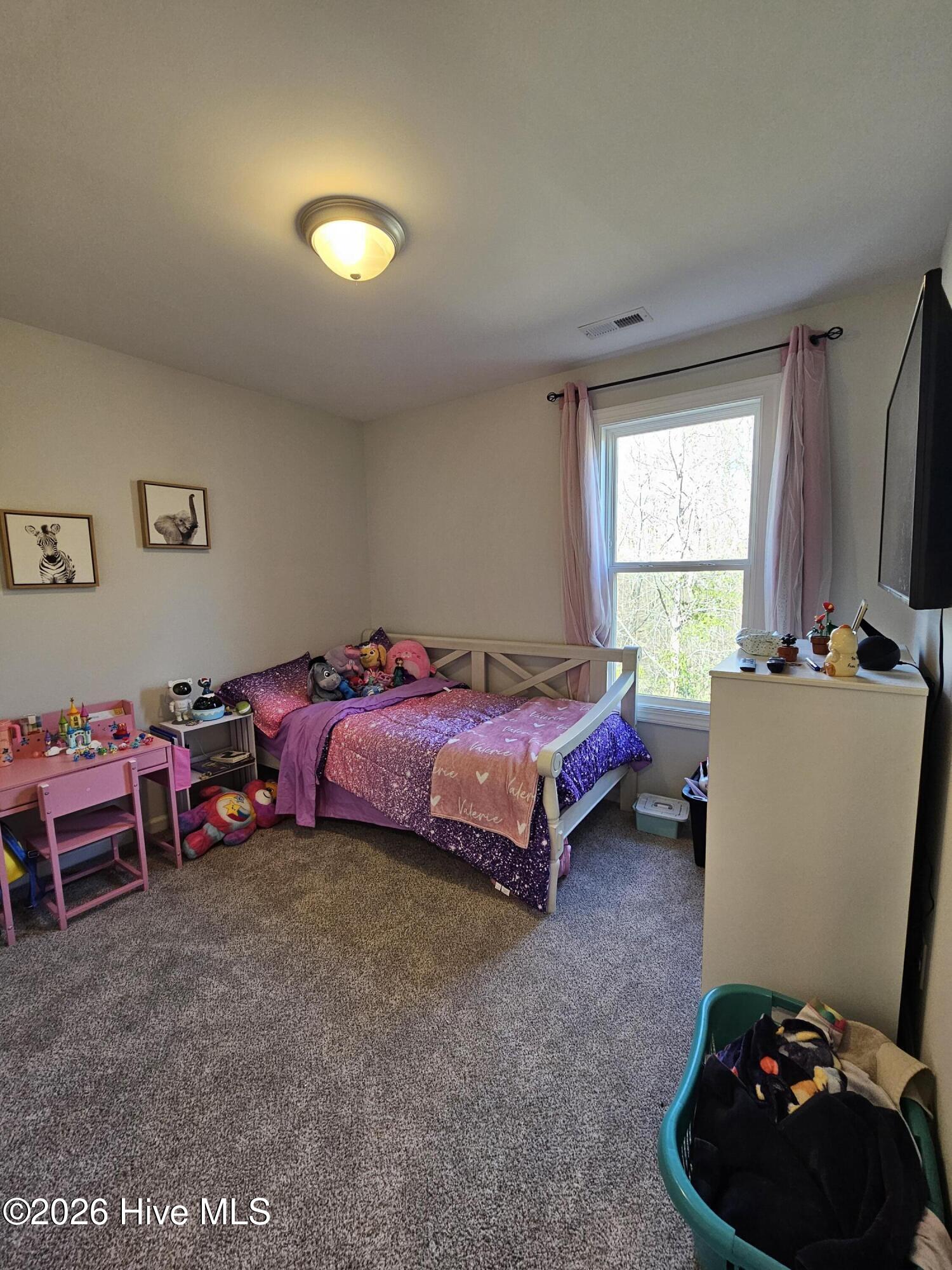 237 Winstead Loop Richlands, NC 28574 - Photo 19 of 20 20260112_130517