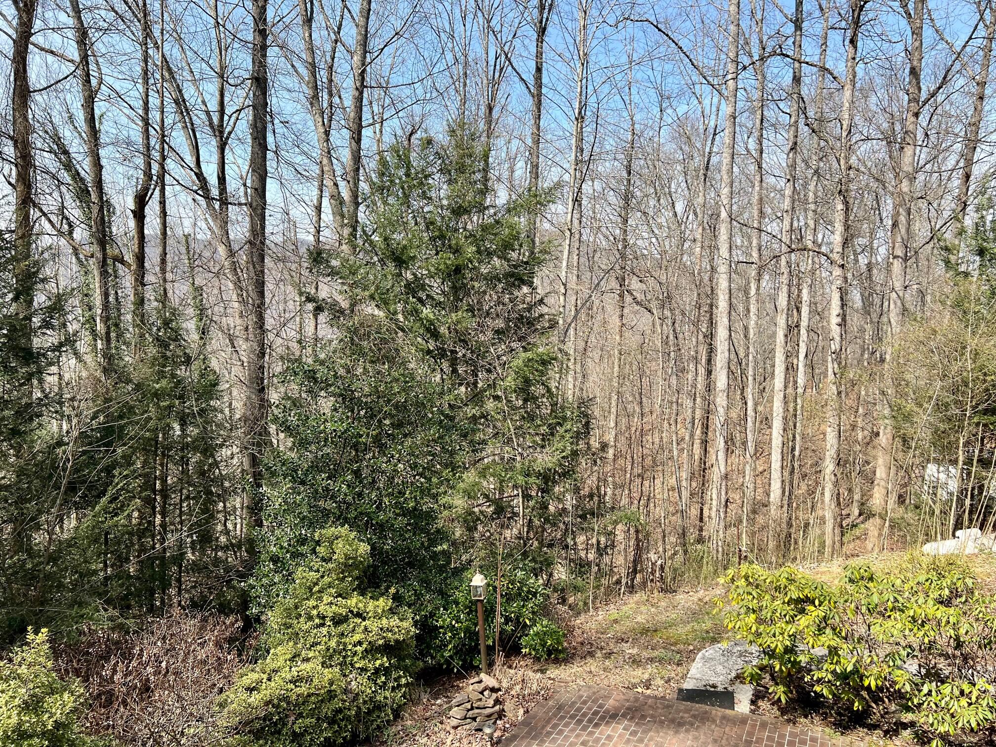 2 Ridge Point Big Stone Gap, VA 24219 - Photo 46 of 53 6