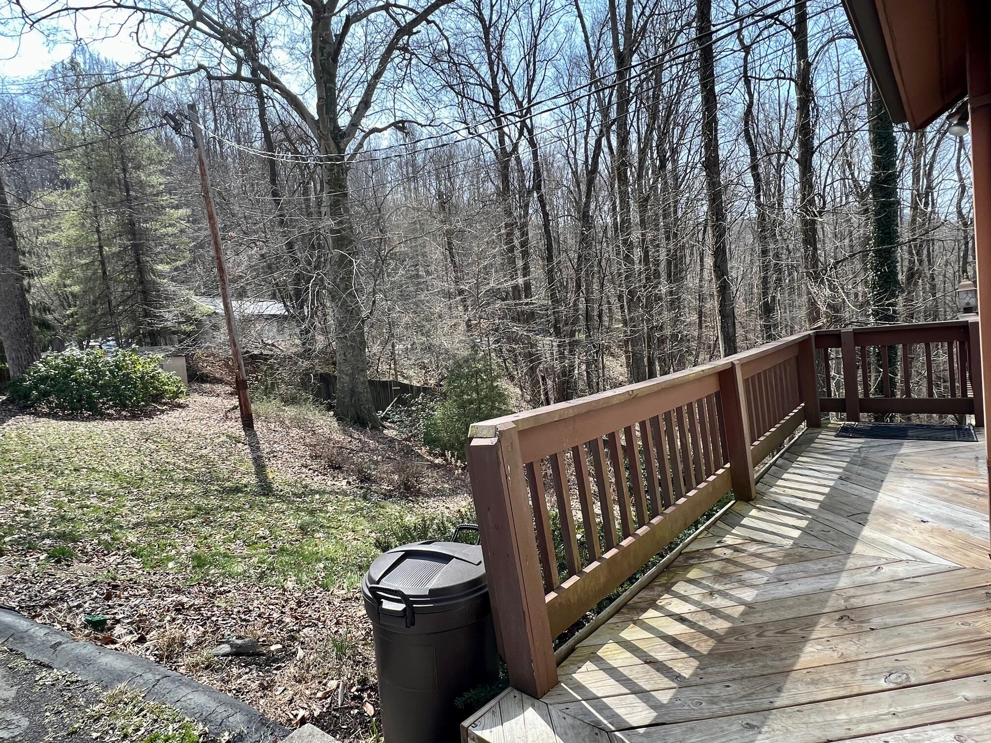 2 Ridge Point Big Stone Gap, VA 24219 - Photo 48 of 53 10