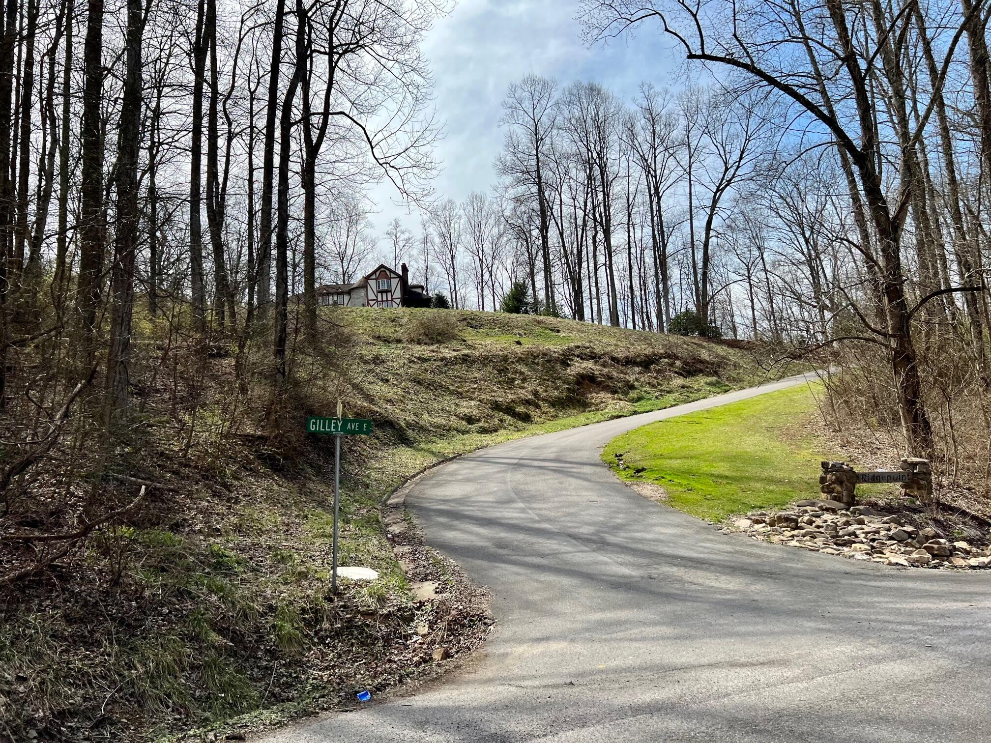 2 Ridge Point Big Stone Gap, VA 24219 - Photo 49 of 53 51