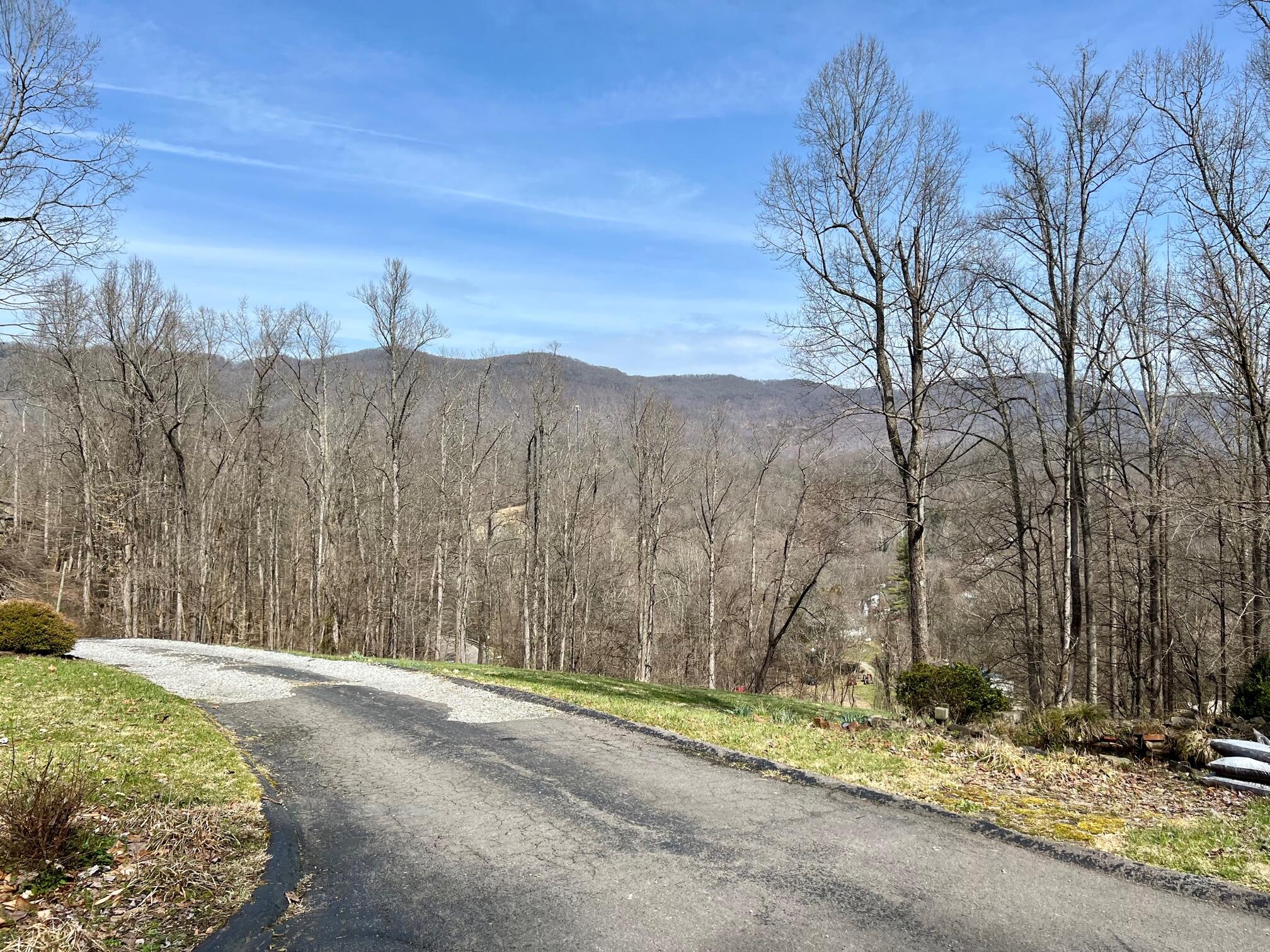 2 Ridge Point Big Stone Gap, VA 24219 - Photo 50 of 53 3