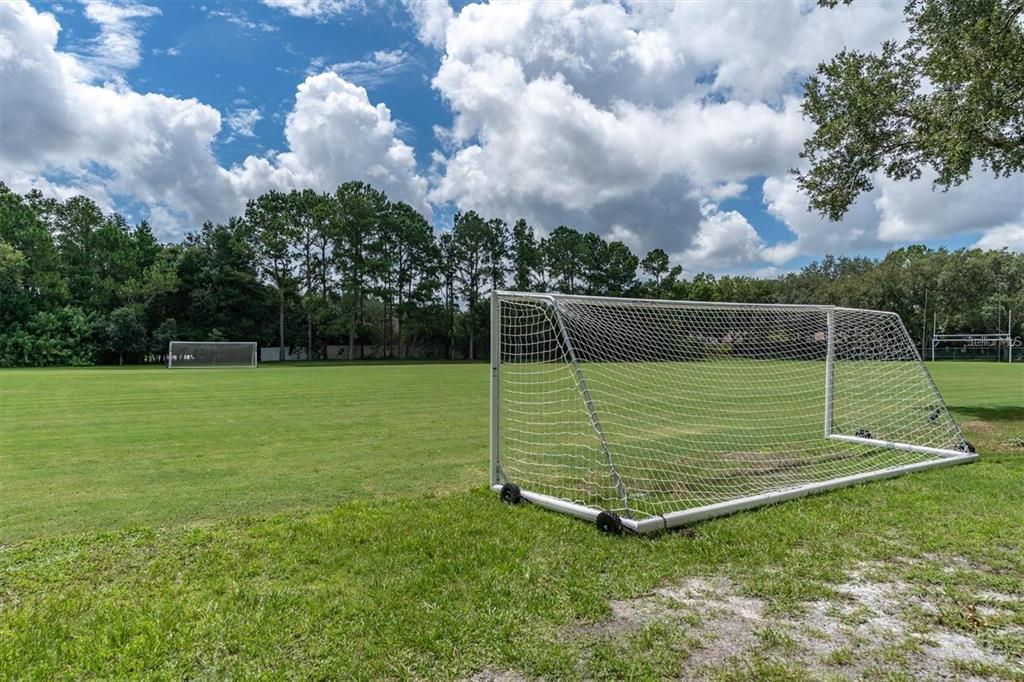 4324 Auston Way Palm Harbor, FL 34685 - Photo 52 of 54 a view of a park