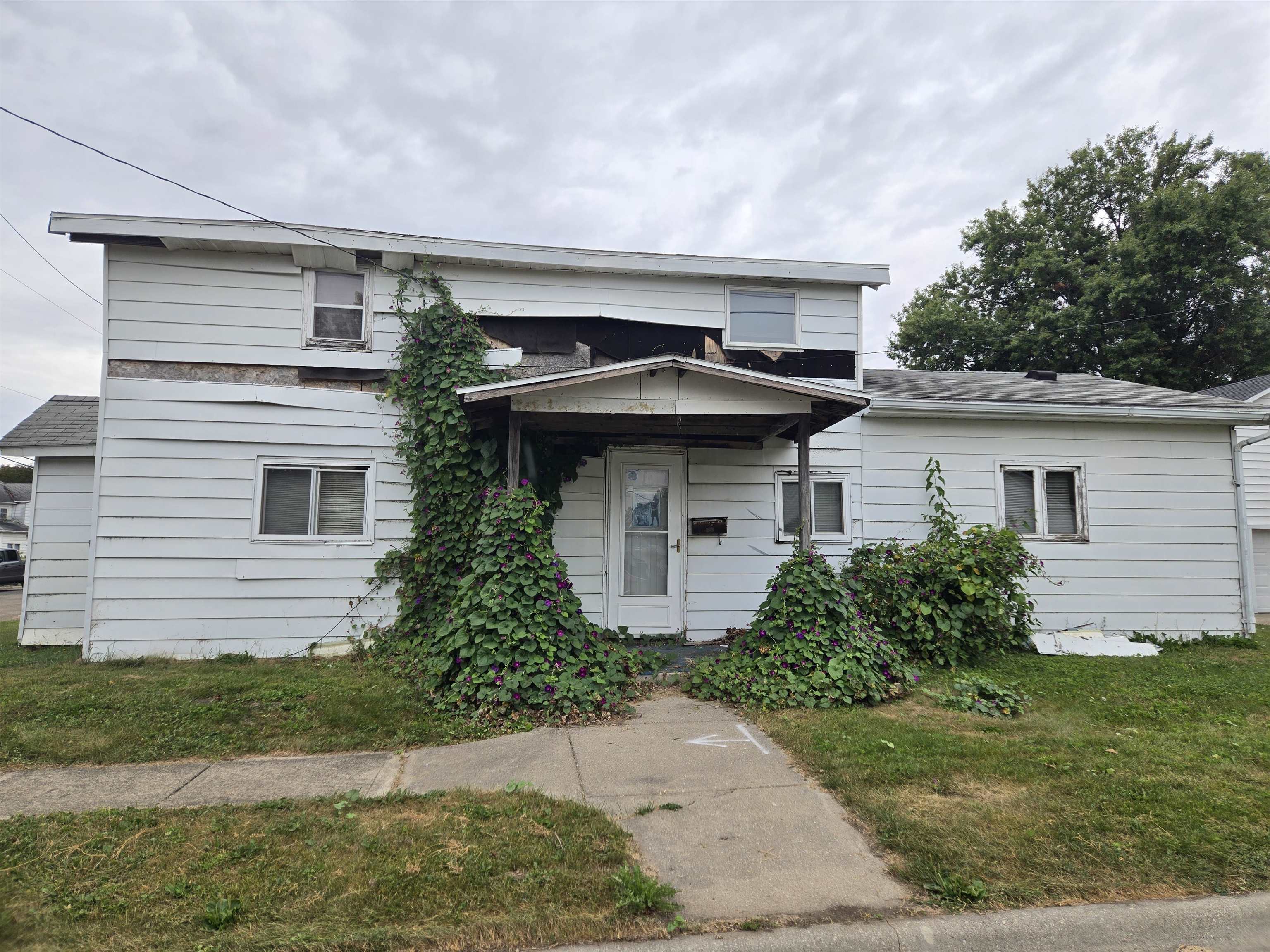 412 East Colden Street Polo, IL 61064 - Photo 1 of 11 a view of a house with a yard plants and large tree