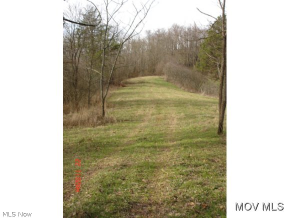 0 Buck Run Road Mineral Wells, WV 26150 - Photo 1 of 7