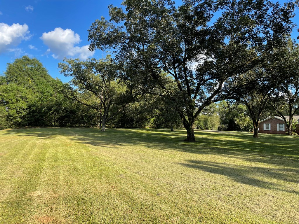 114 Leslie Road Coffee Springs, AL 36318 - Photo 61 of 64 Left side of Front Yard