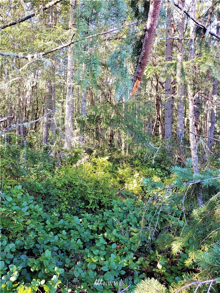 9028 Johnson Road Anderson Island, WA 98303 - Photo 1 of 8