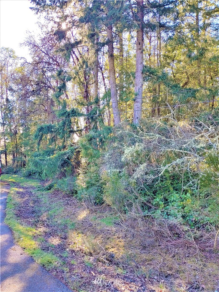 9028 Johnson Road Anderson Island, WA 98303 - Photo 2 of 8