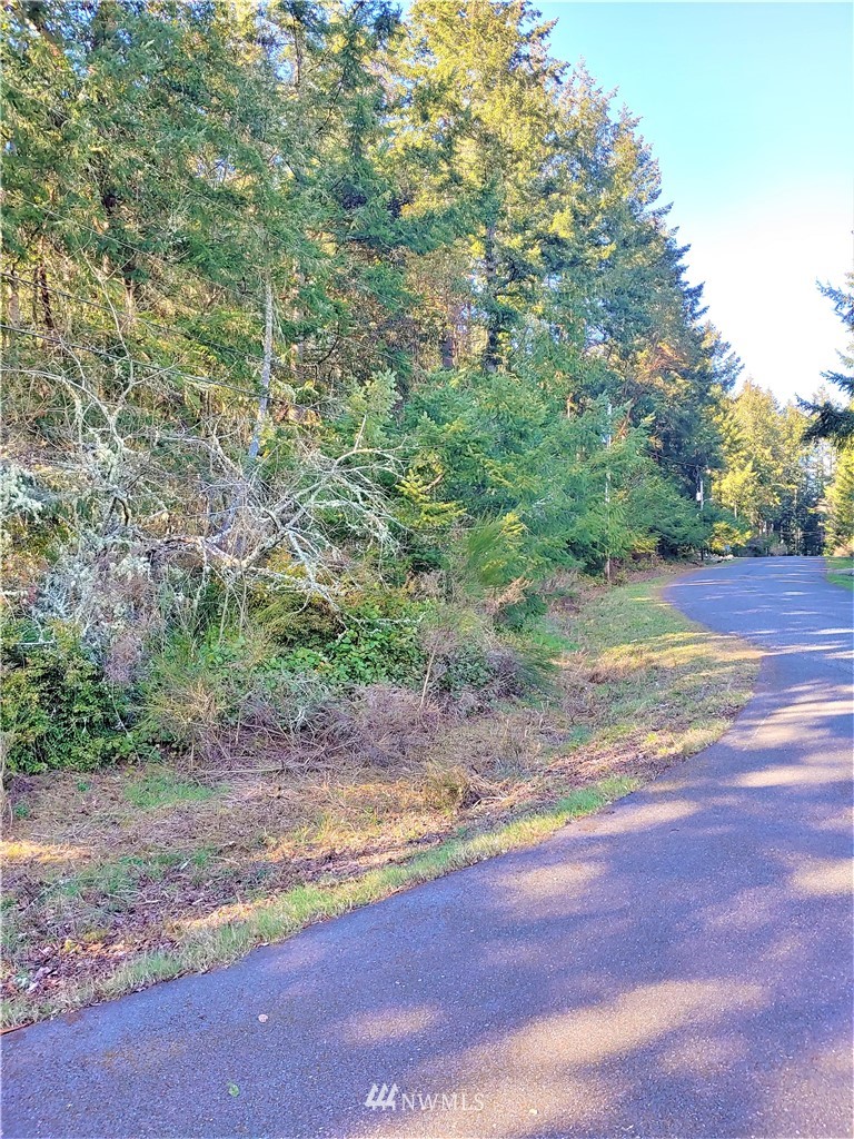 9028 Johnson Road Anderson Island, WA 98303 - Photo 3 of 8