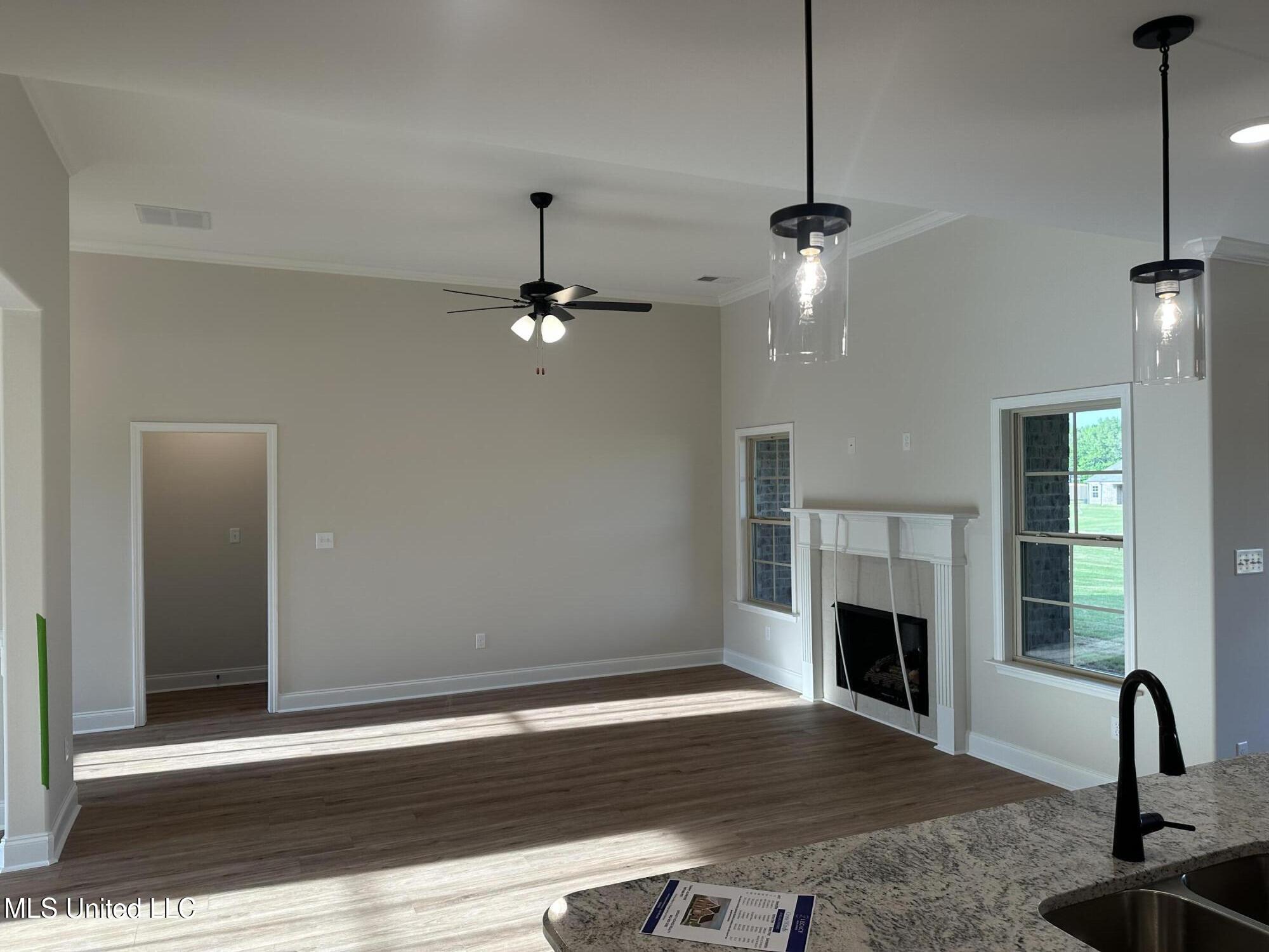 687 Lucas Lane Hernando, MS 38632 - Photo 16 of 27 IMG_6286