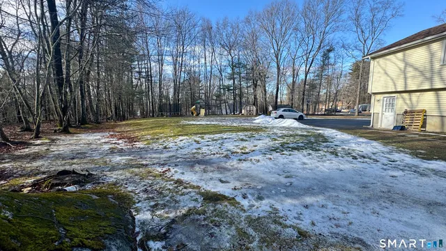 a view of a backyard with large trees