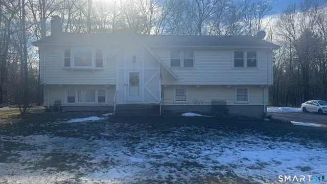 a view of a house with a yard and a tree