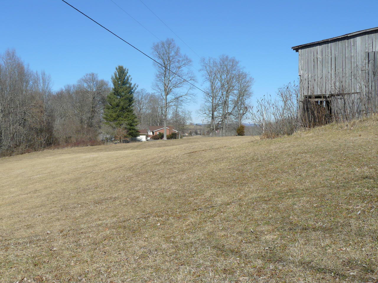1.14-acres Holt Ridge Road Tazewell, TN 37879 - Photo 3 of 4 P1360444