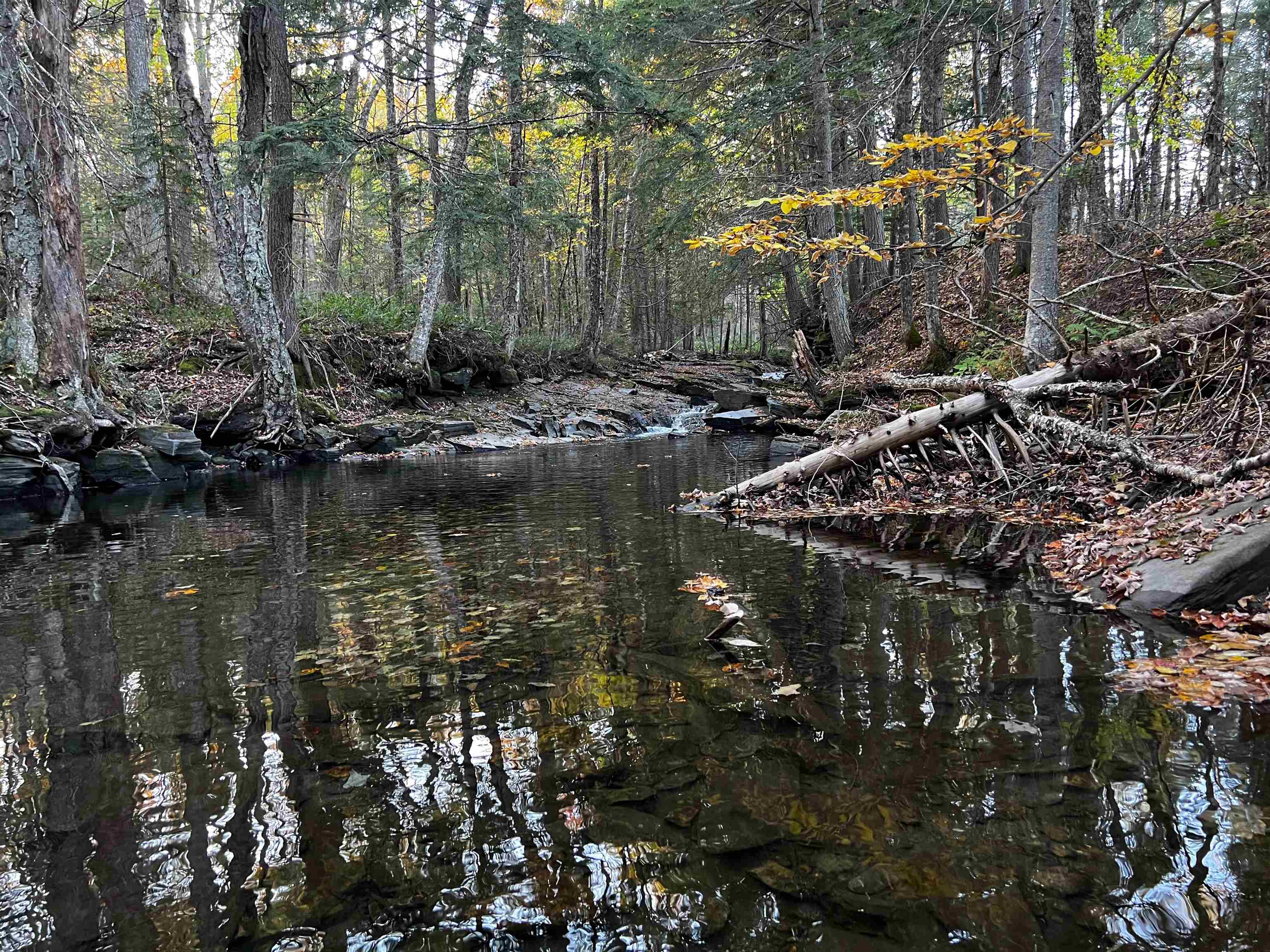 0 Tampico Road Danville, VT 05828 - Photo 13 of 17
