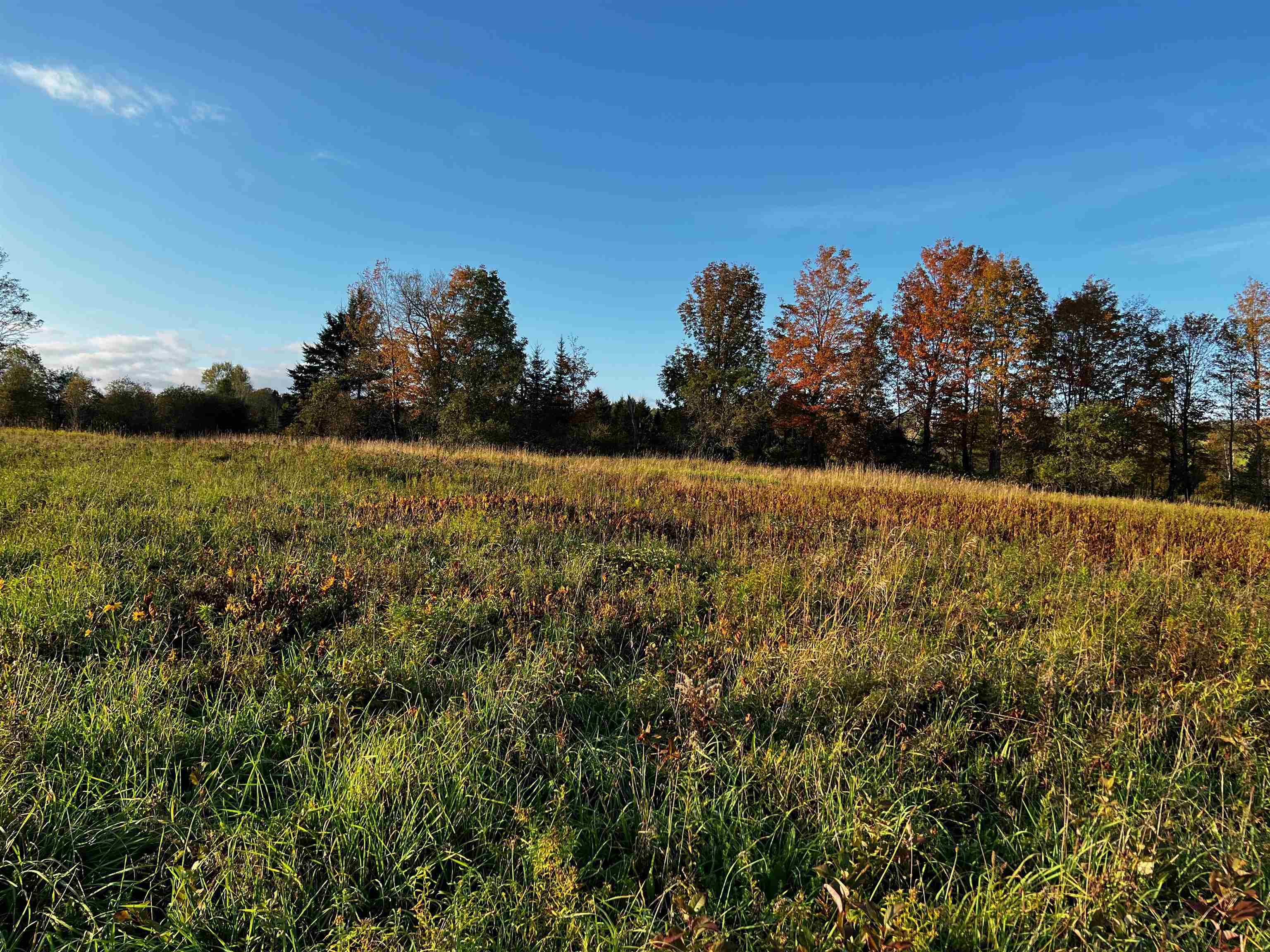 0 Tampico Road Danville, VT 05828 - Photo 14 of 17