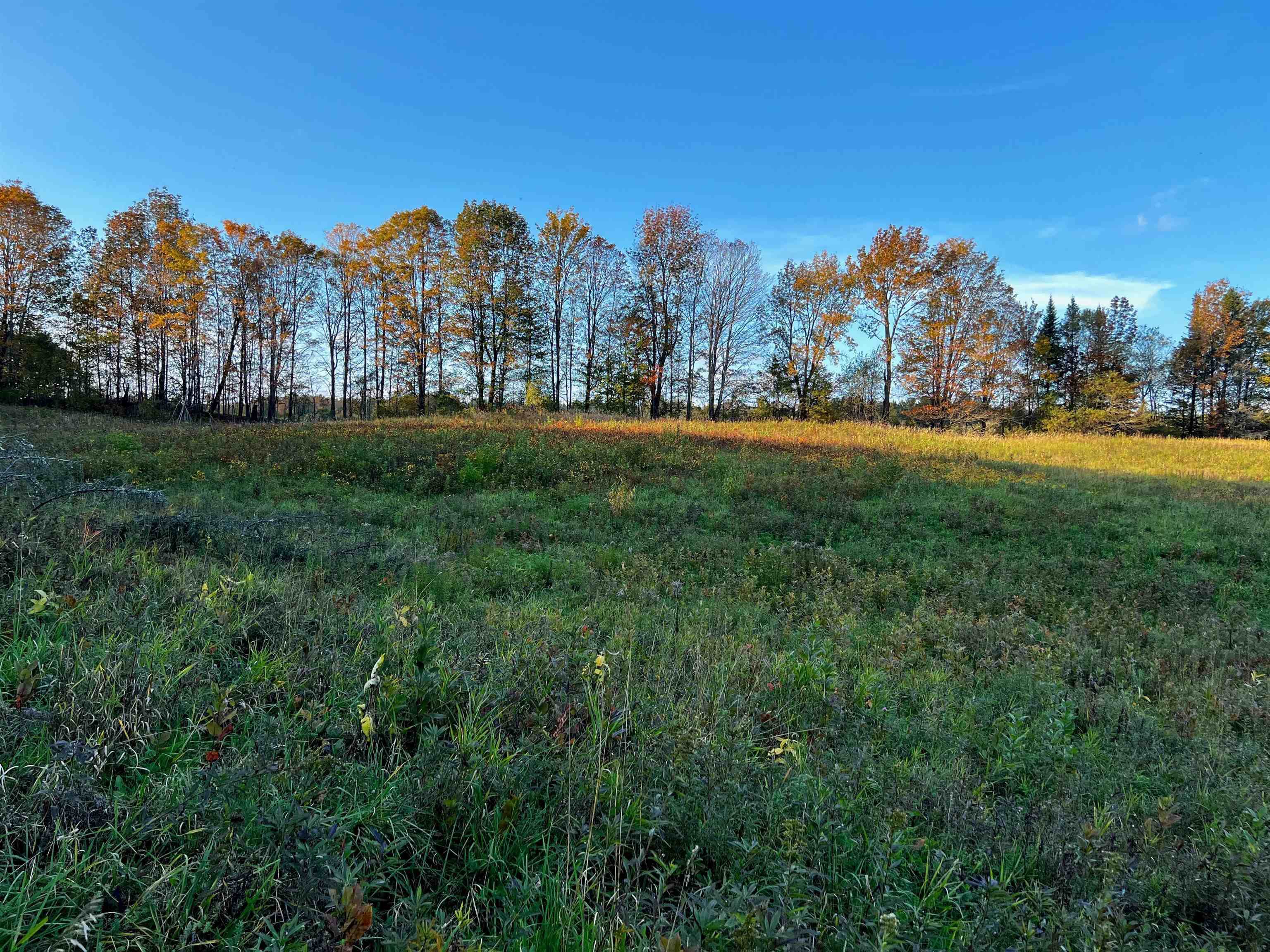 0 Tampico Road Danville, VT 05828 - Photo 15 of 17
