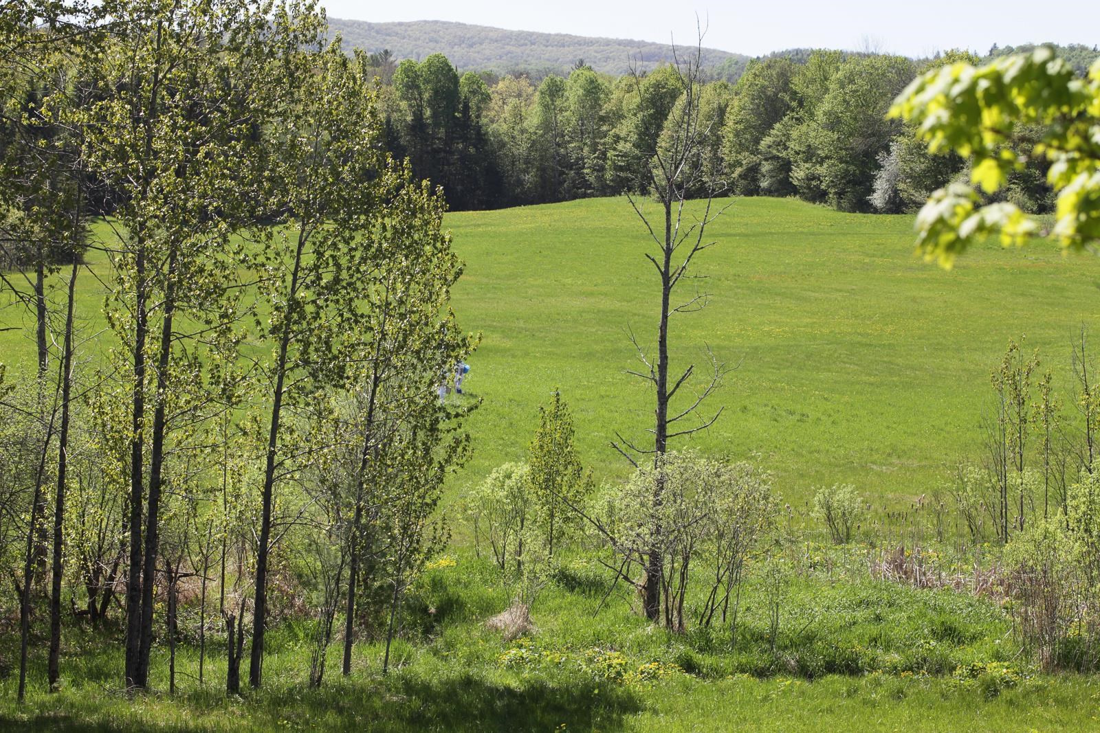 0 Tampico Road Danville, VT 05828 - Photo 16 of 17