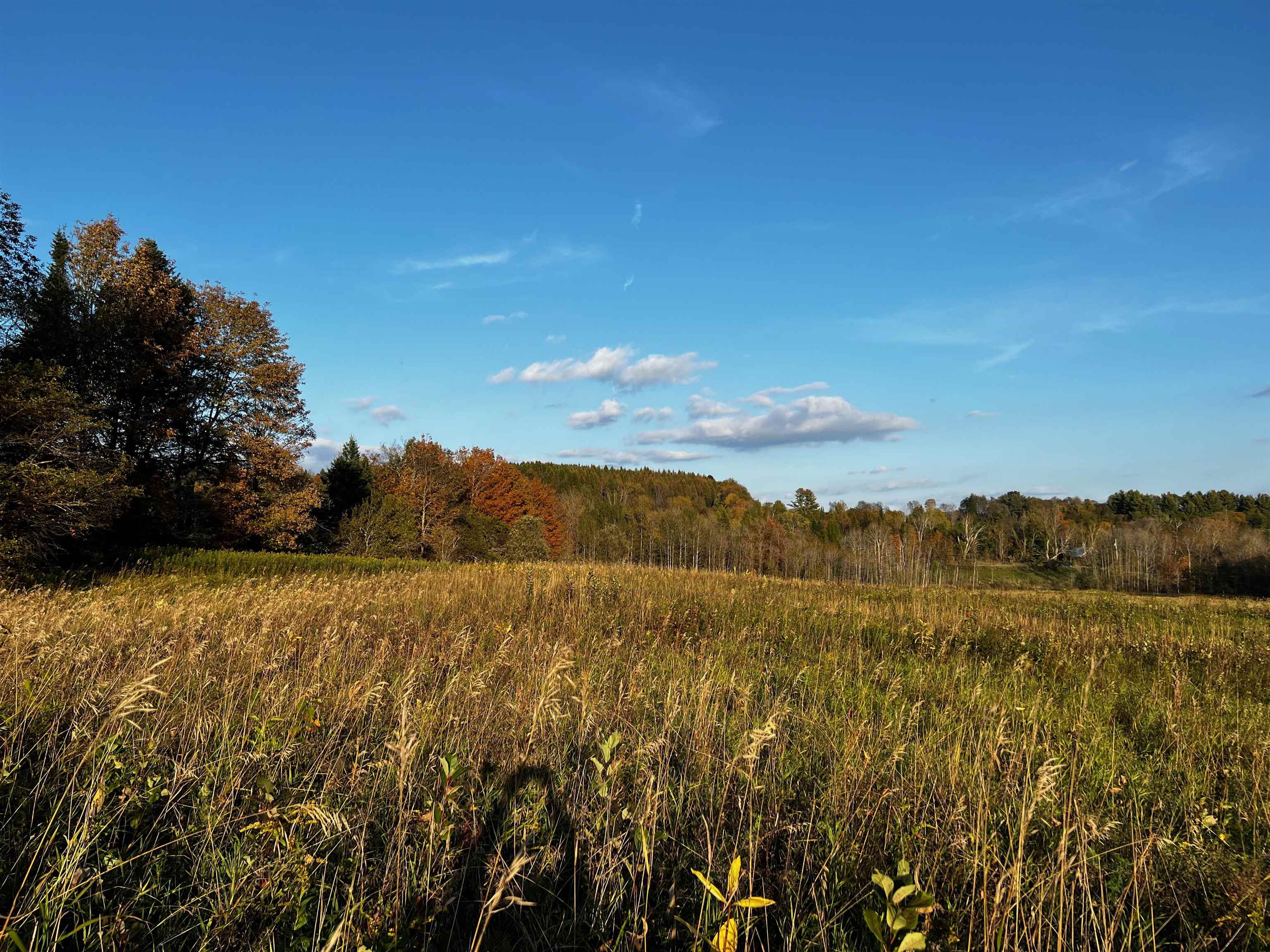 0 Tampico Road Danville, VT 05828 - Photo 17 of 17