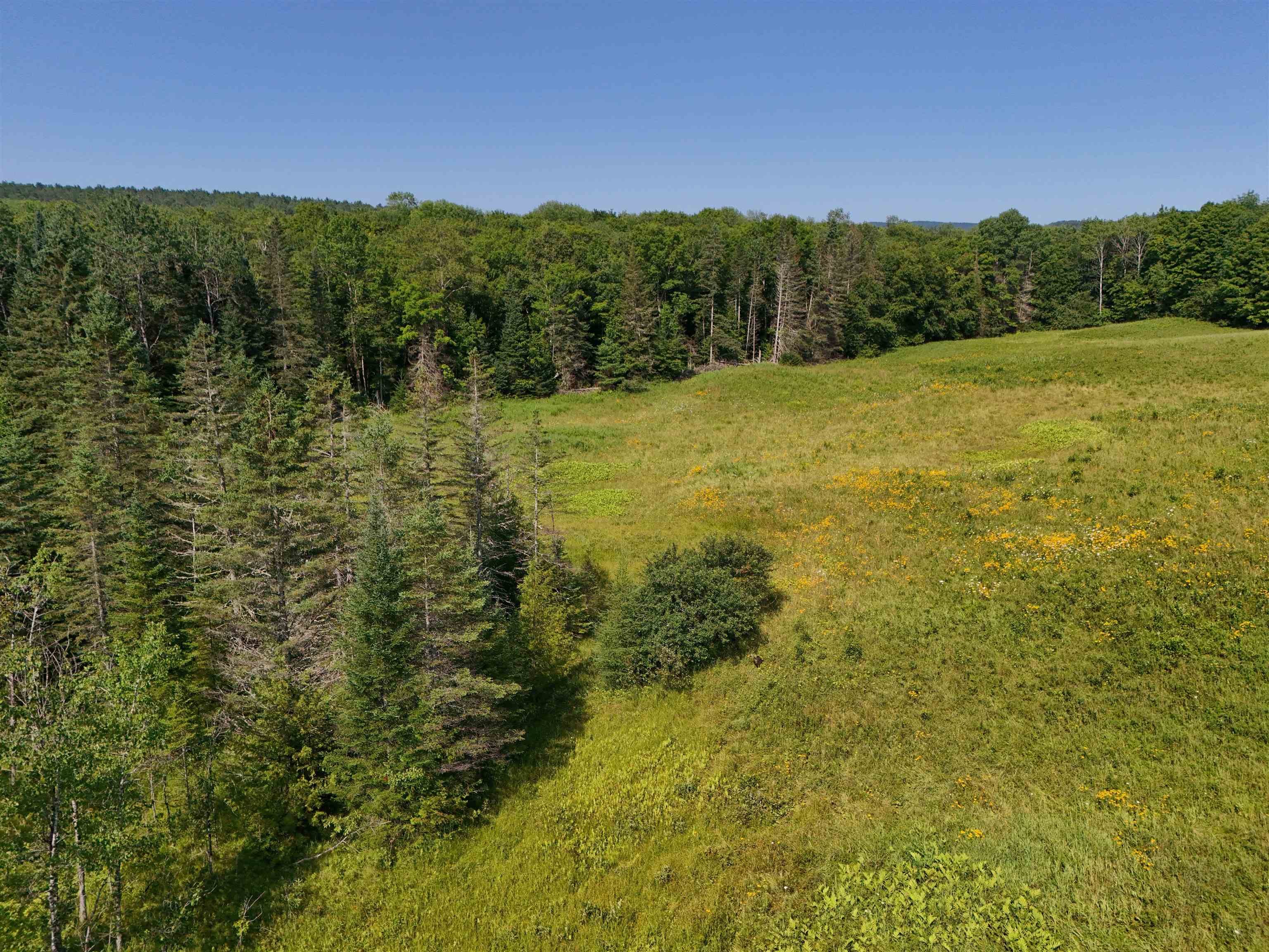 0 Tampico Road Danville, VT 05828 - Photo 4 of 17