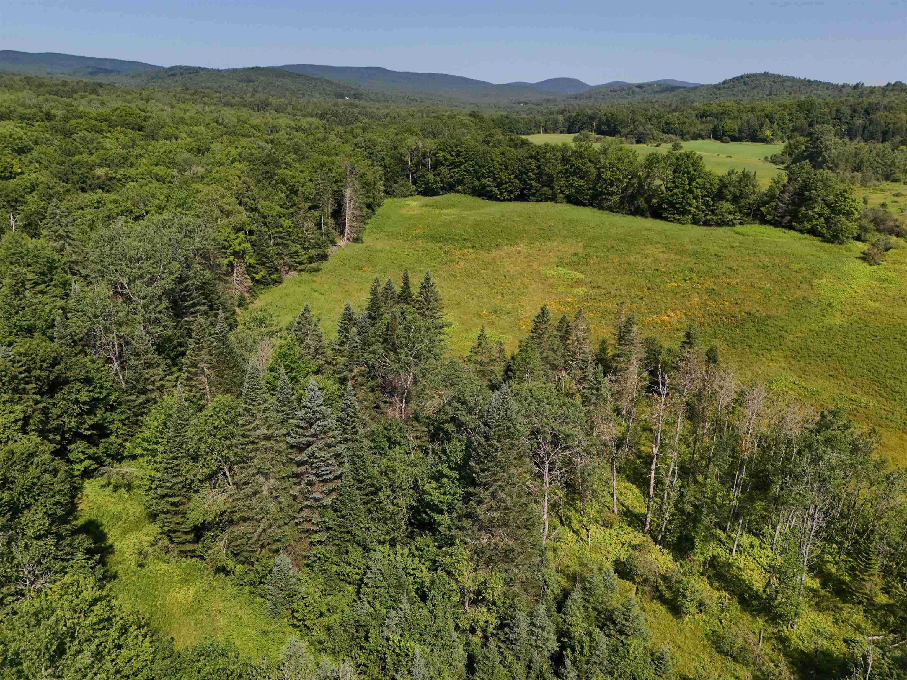 0 Tampico Road Danville, VT 05828 - Photo 7 of 17