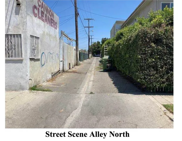 a view of a backyard with plants