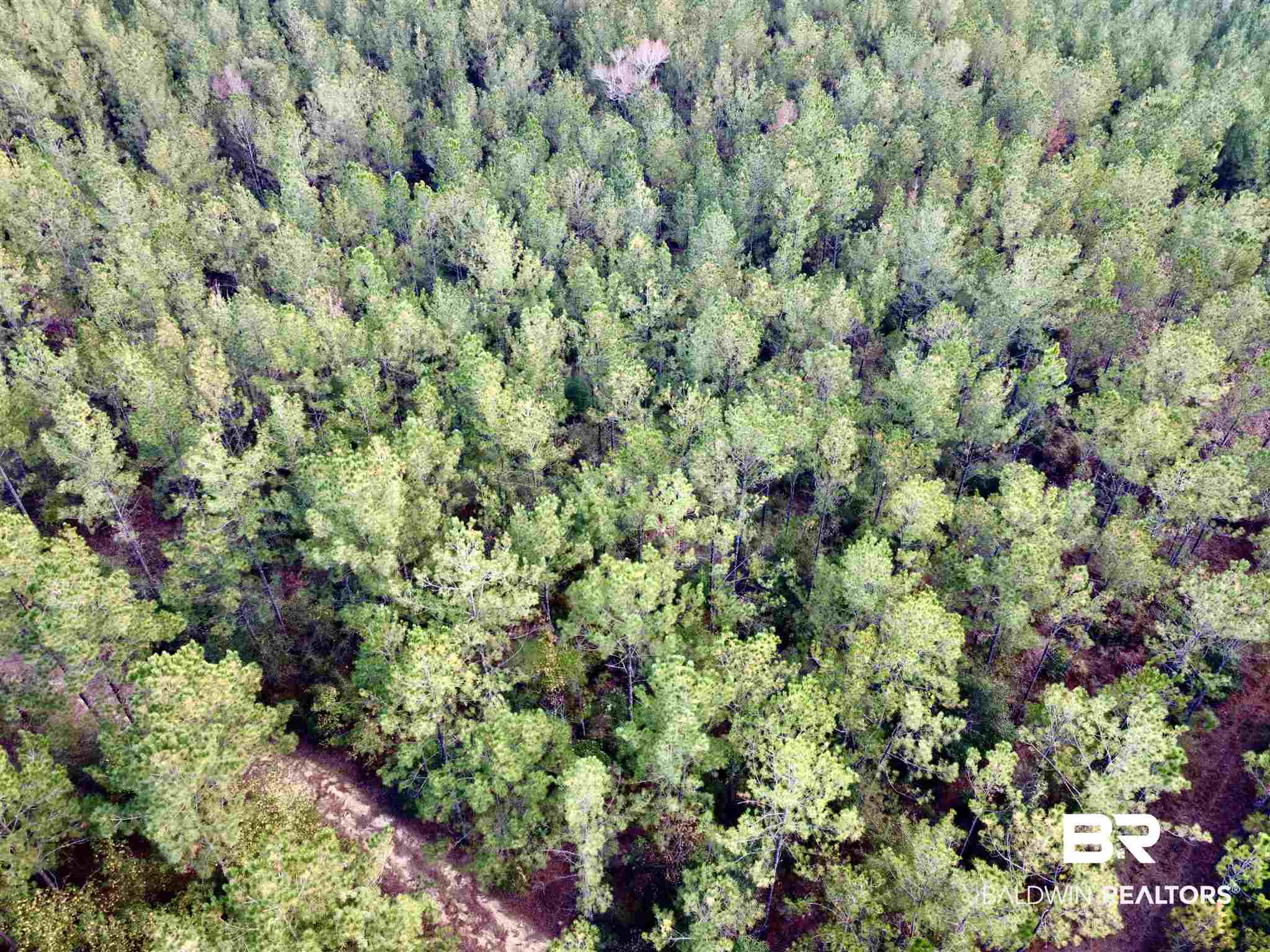 0 Whitetail Run Chatom, AL 36518 - Photo 8 of 29