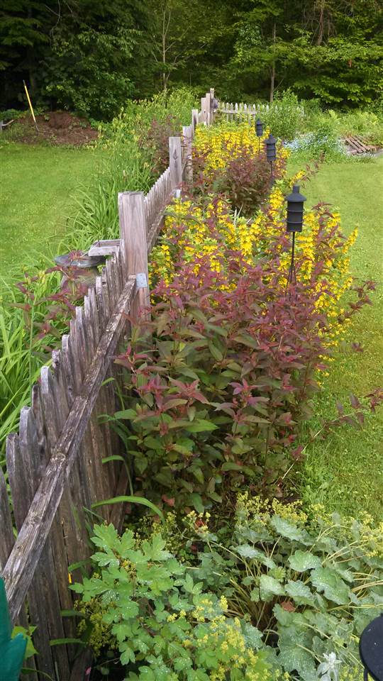 59 Mather Road Brattleboro, VT 05301 - Photo 28 of 29