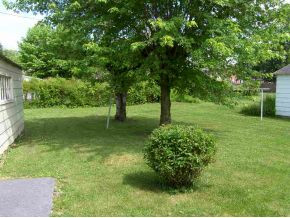 424 Field Road Elizabethton, TN 37643 - Photo 3 of 7 Back yard