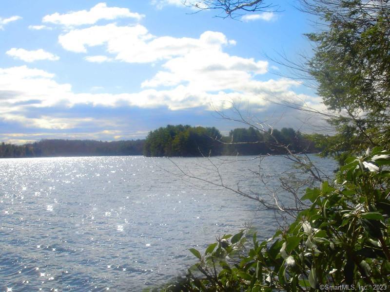 a view of a dry yard with wooden fence