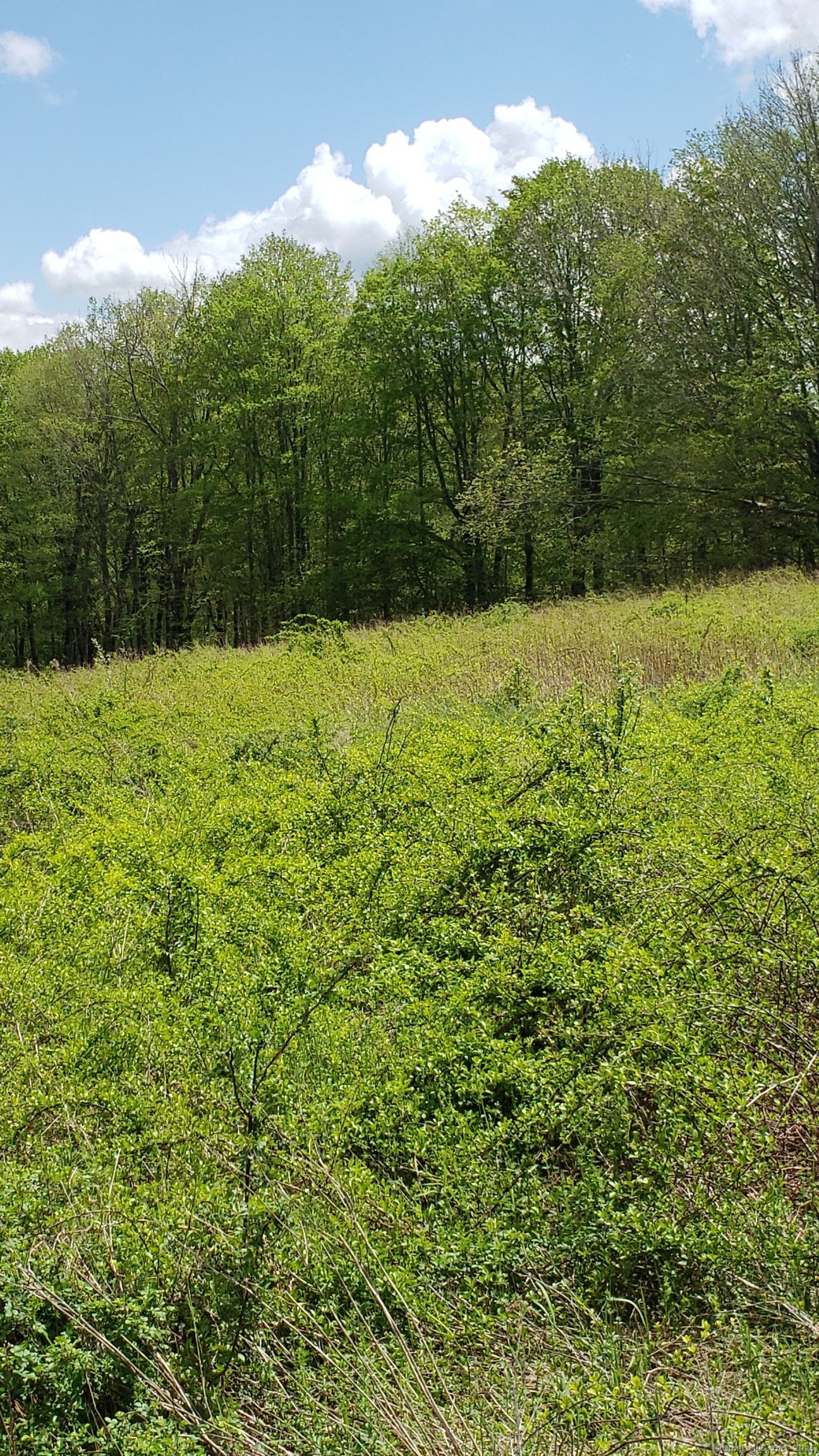 Lot 5 Milton Road Goshen, CT 06756 - Photo 13 of 31 a view of outdoor space and yard
